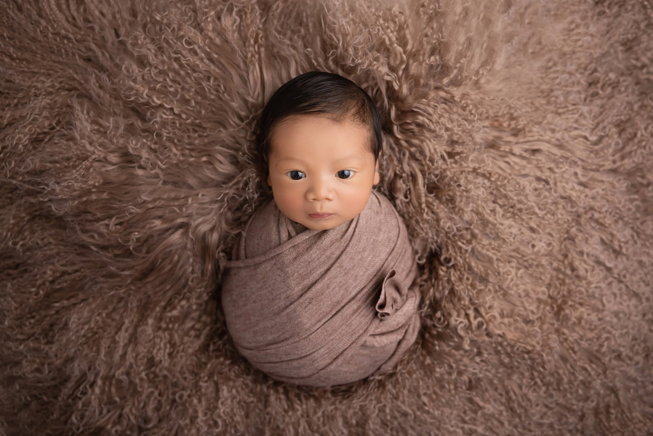 A baby with dark hair and big eyes is wrapped in a brown blanket, lying on a soft, fluffy brown surface, and looking up at the camera.