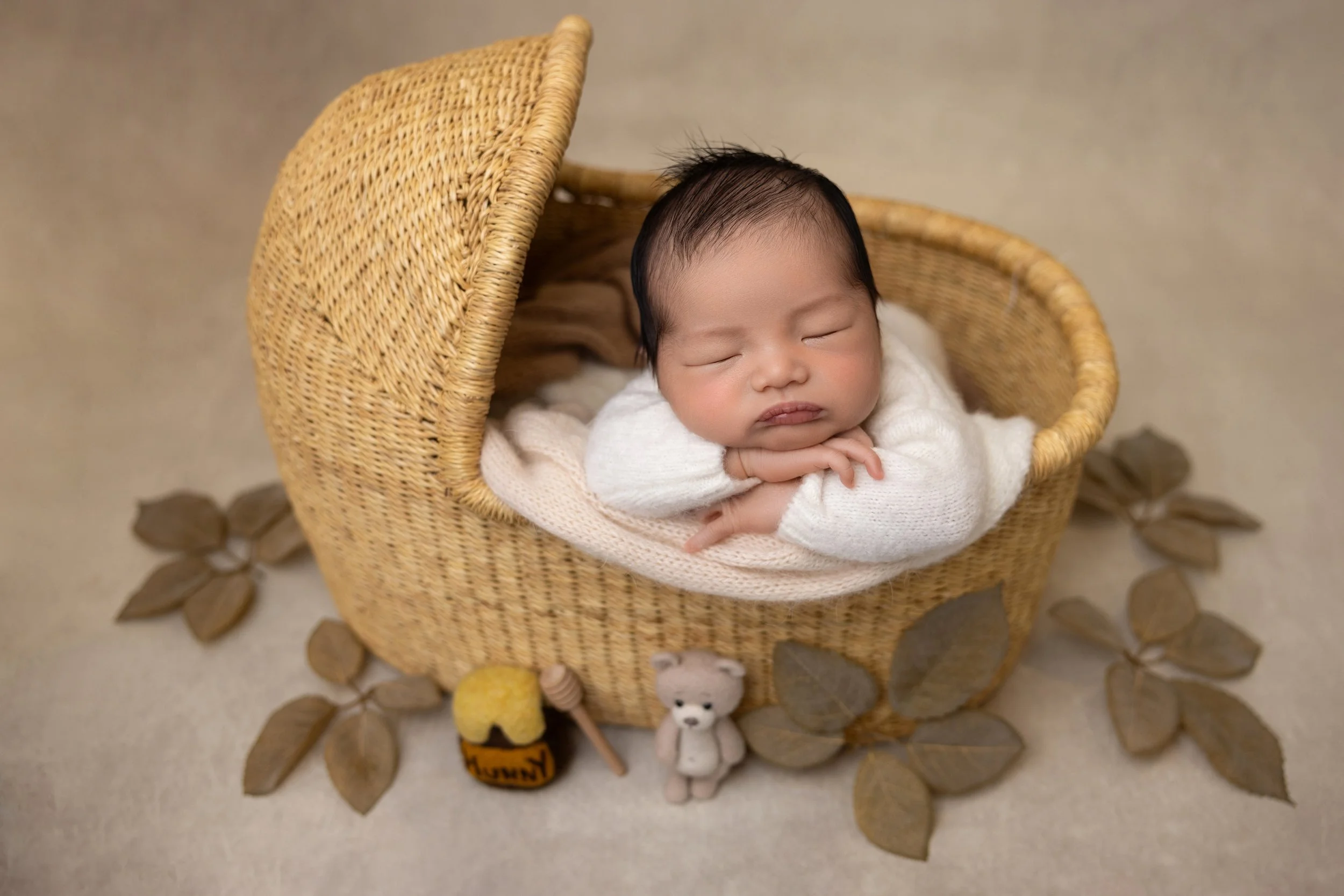 A sleeping newborn baby resting with arms crossed, lying inside a wicker basket surrounded by tan leaves and small plush toys.