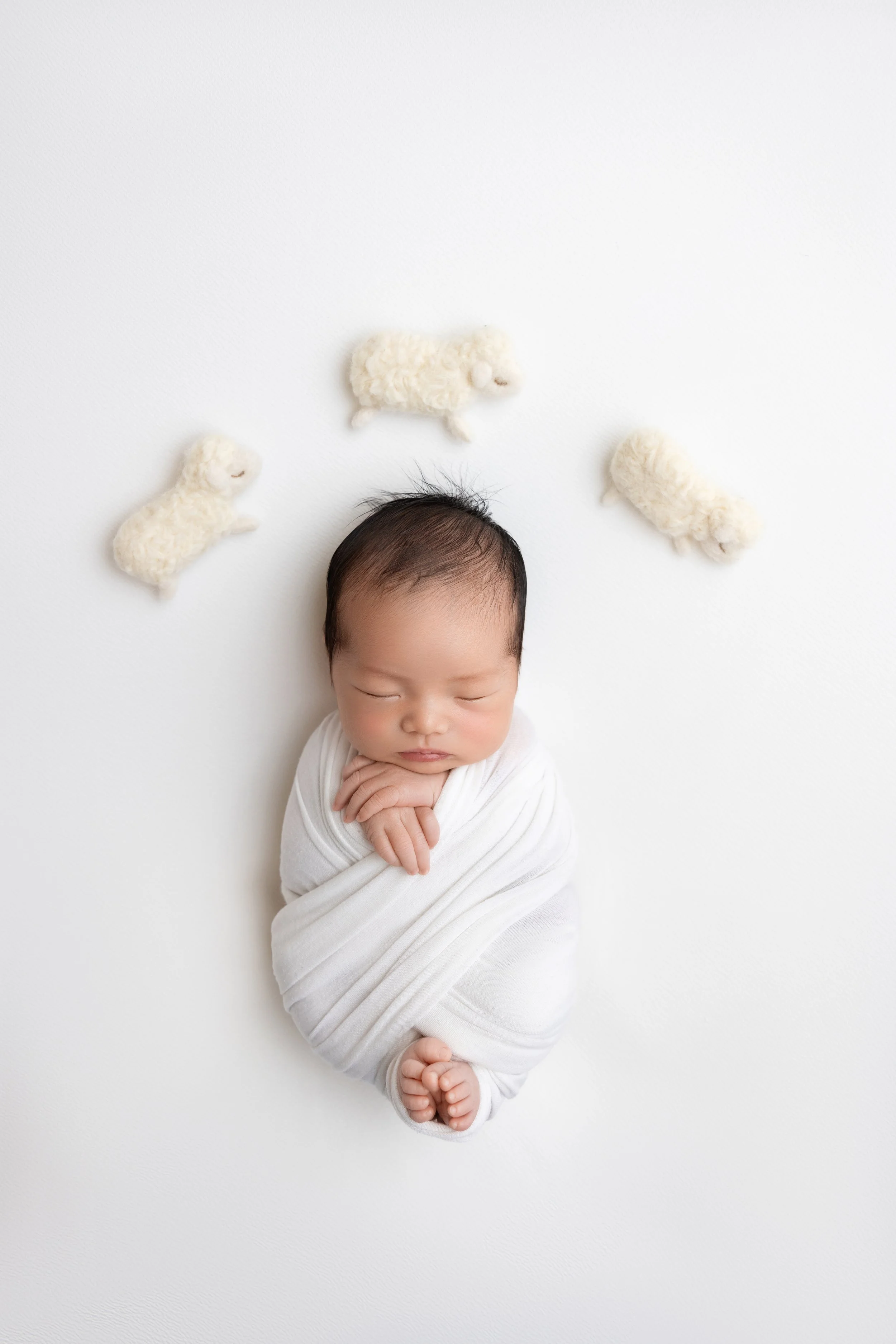 A sleeping baby wrapped in a white blanket, positioned on a white background, surrounded by three small, plush, cream-colored sheep toys.