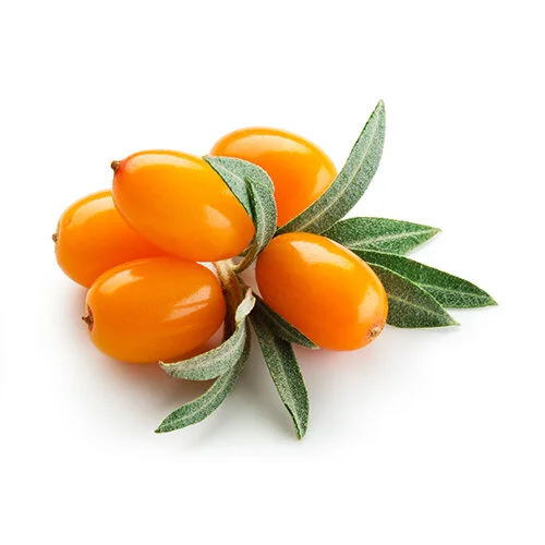 Sea Buckthorn Berry CO2