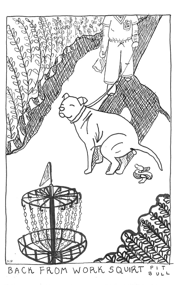 pit%2Bbull.jpg