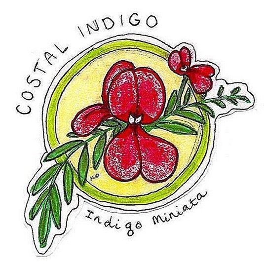 costal%252Bindigo.jpg