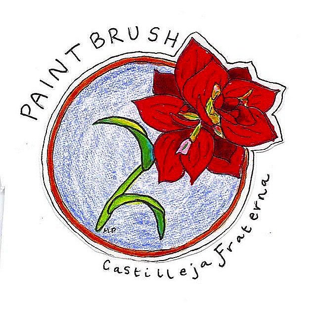paintbrush.jpg