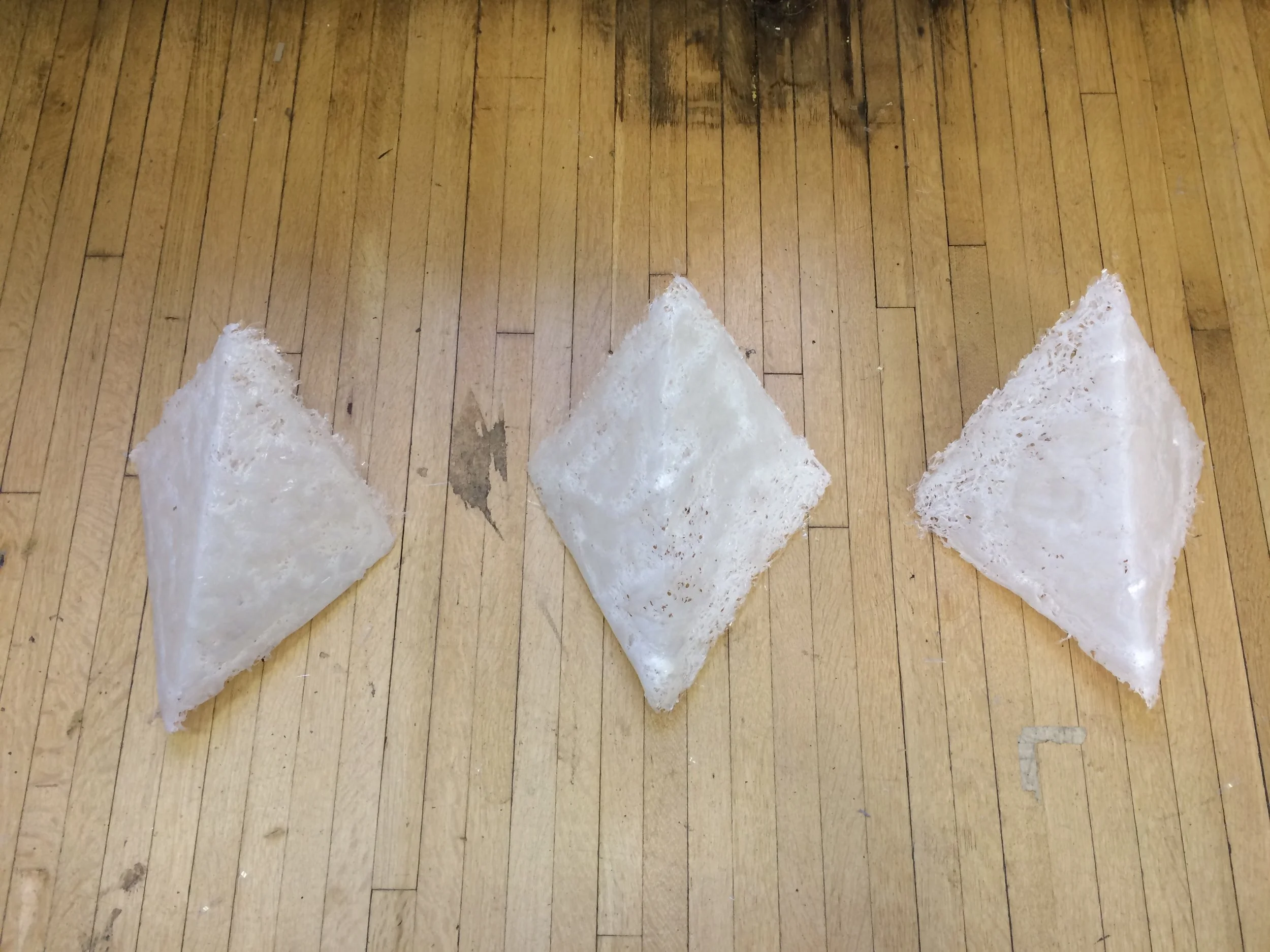 IMG_3081 (2018_11_28 04_13_52 UTC).JPG