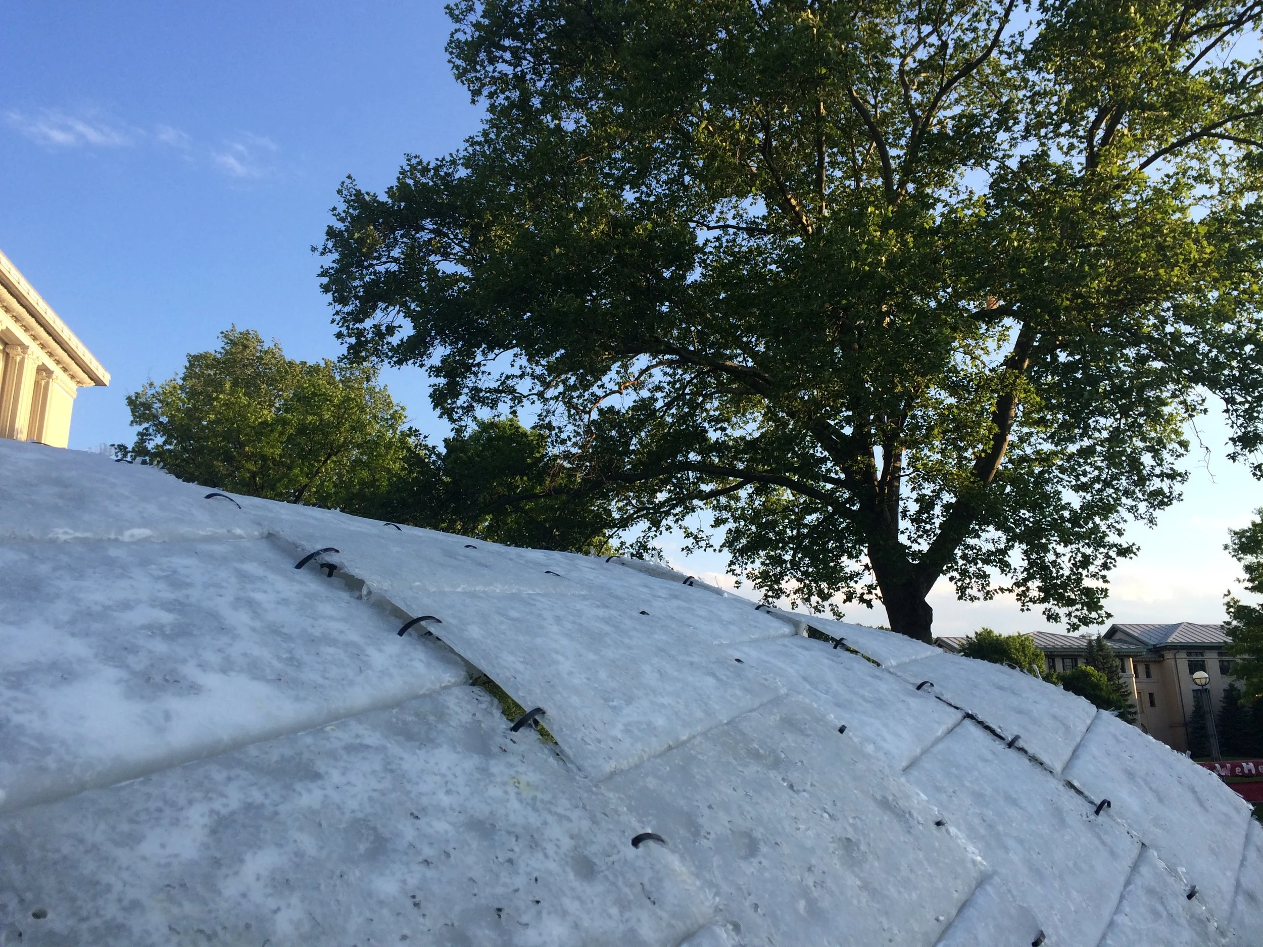 IMG_3426 (2018_11_28 04_13_52 UTC).JPG