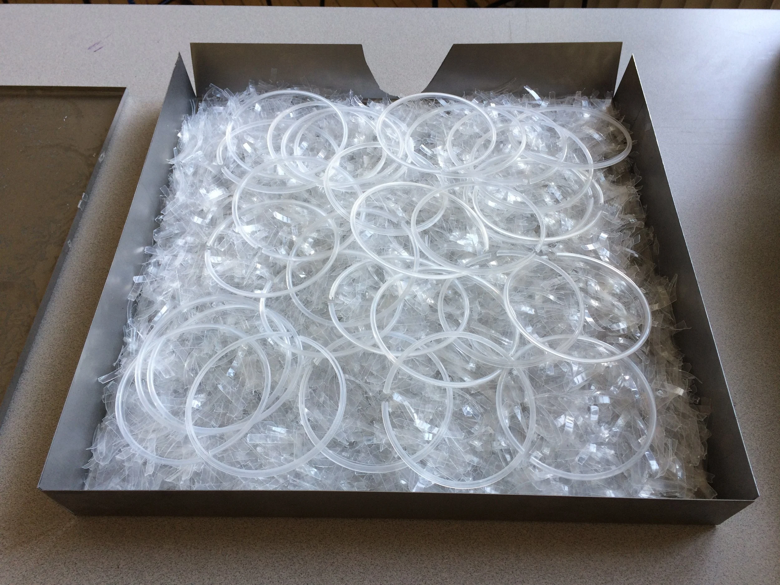 IMG_3065 (2018_11_28 04_13_52 UTC).JPG