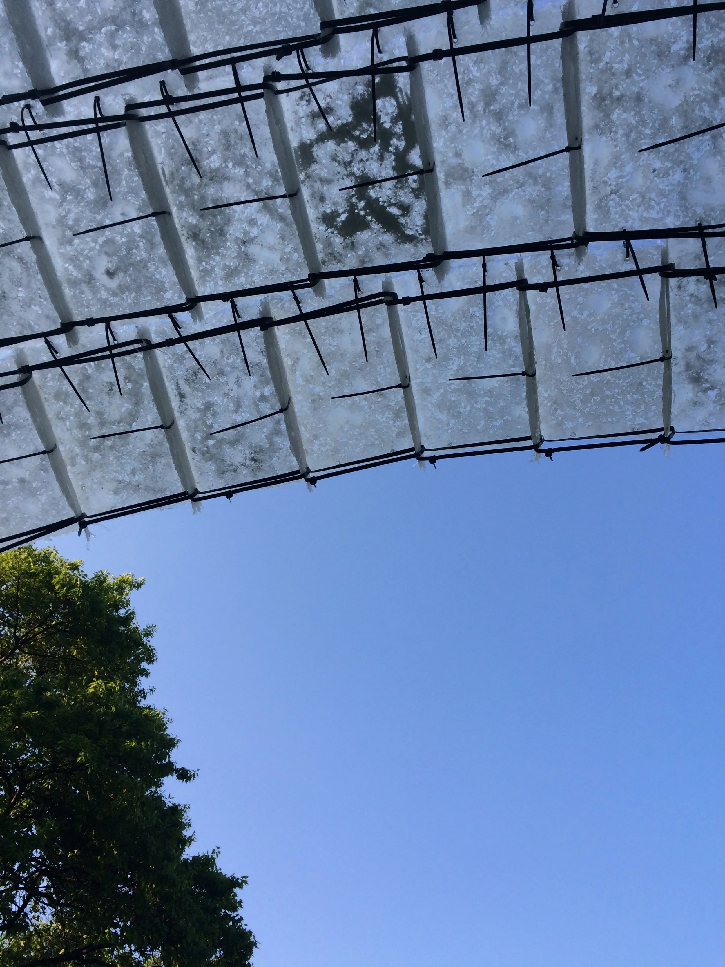 IMG_3447 (2018_11_28 04_13_52 UTC).JPG