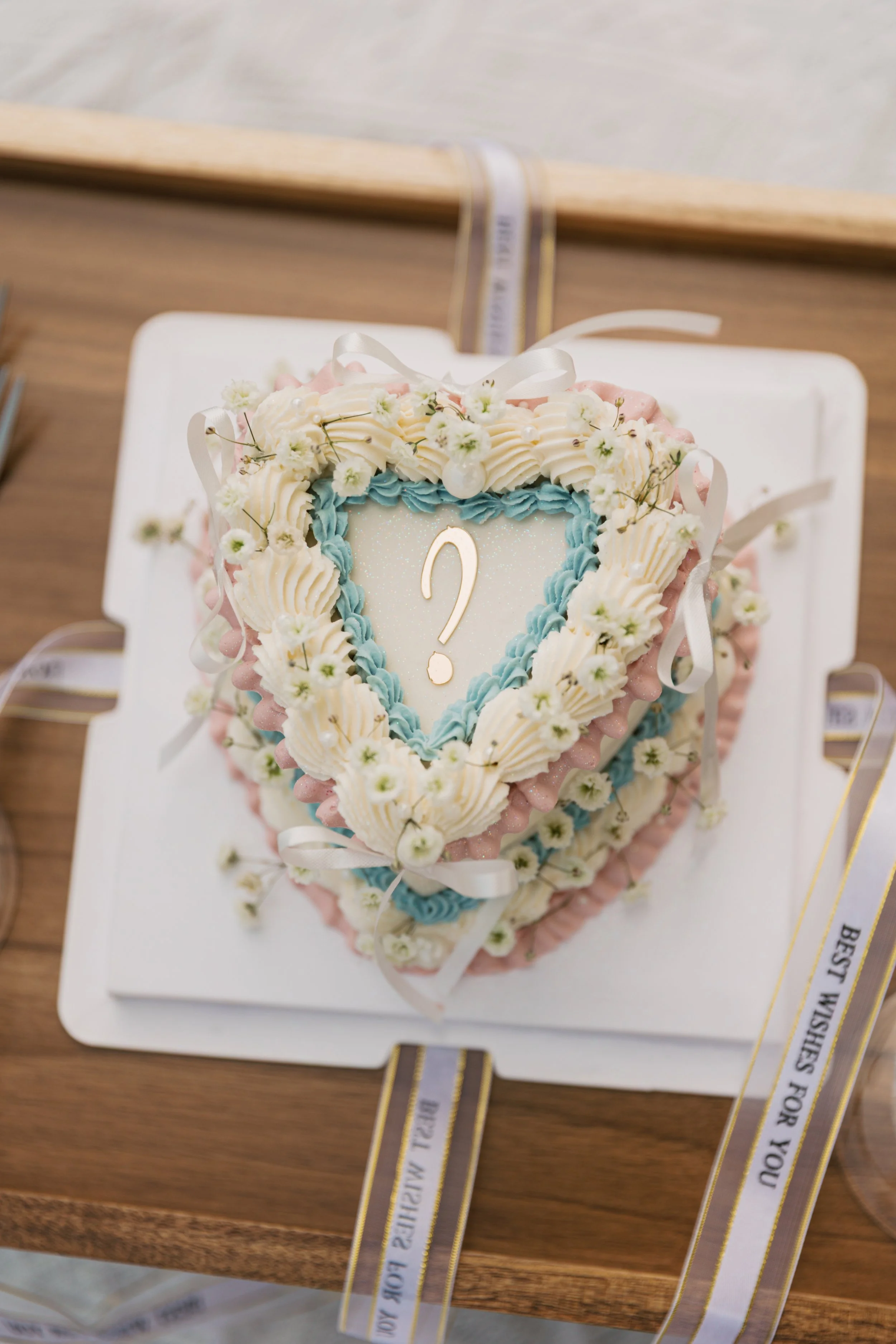 8B2A4205-© Sarah J Cabrera Photography, 2026.jpg