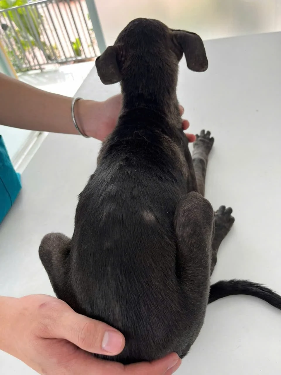 WhatsApp Image 2025-06-19 at 15.13.46.jpeg