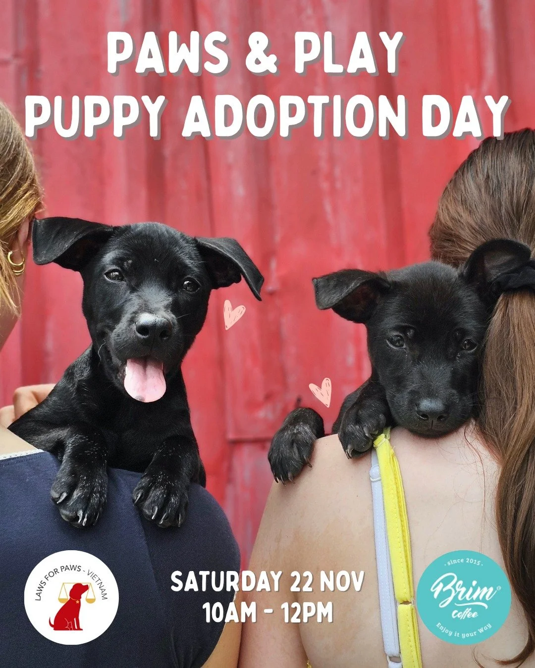 Puppy Adoption Day! 🐶
Saturday, November 22 &bull; 10AM&ndash;12PM &bull;  At @brimcoffeevn 

Come meet our rescue puppies looking for their forever homes!
If you&rsquo;re thinking about adopting, this is the perfect chance to spend time with them a
