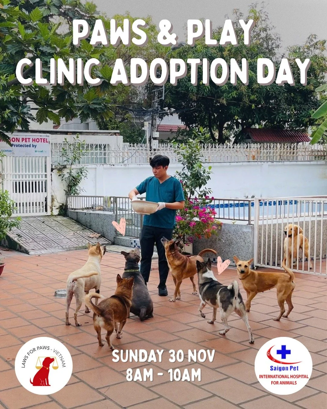 Clinic Adoption Day! 🐶
Sunday, November 30 &bull; 8AM&ndash;10AM &bull; At @saigonpetveterinaryhospital 

Come meet our wonderful teen and adult rescue dogs, including several recent surrenders at Saigon Pet Hospital, who are hoping for a fresh star
