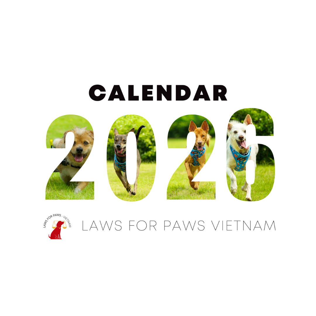 2025 Merch Website-10.png