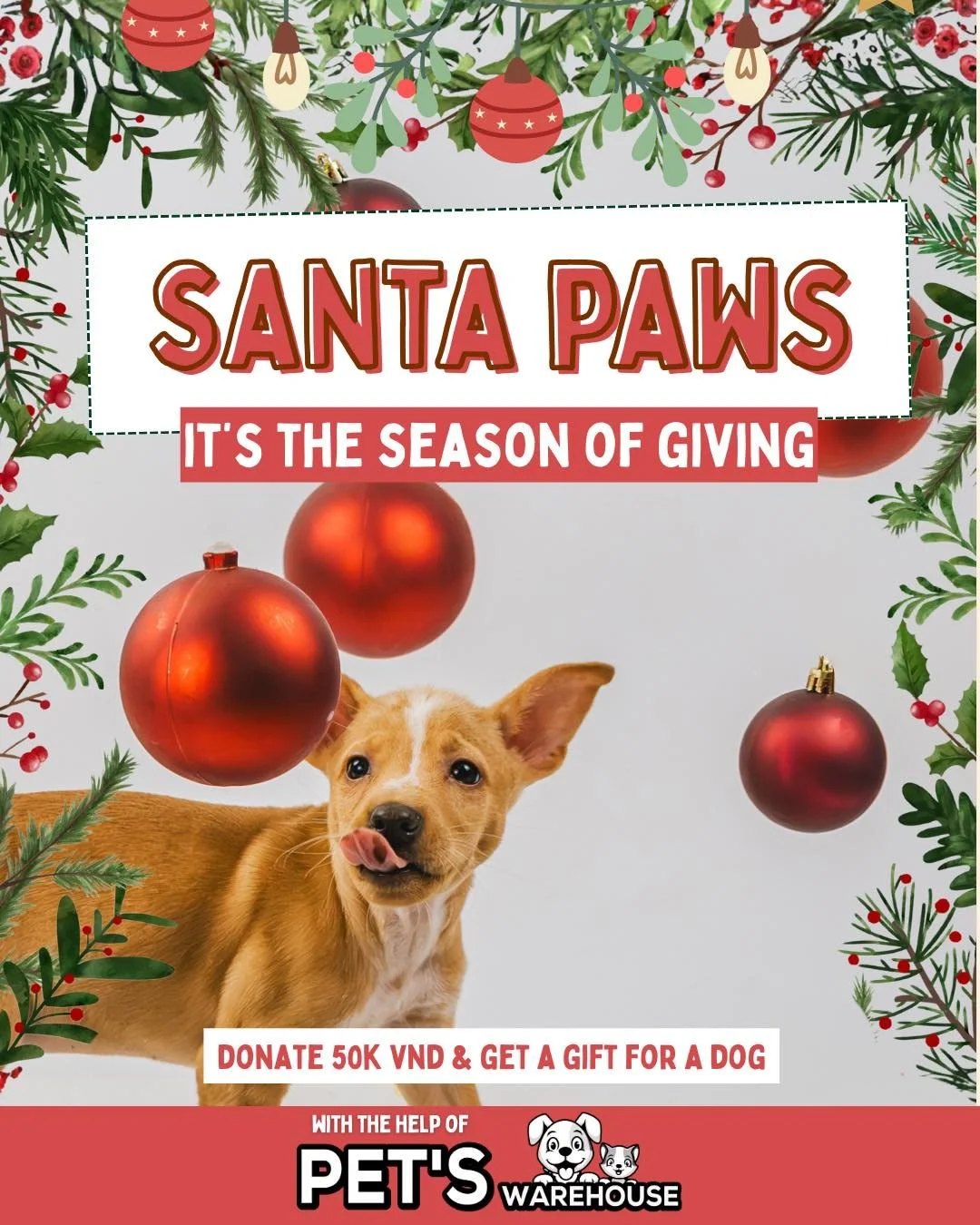 🎁 Santa Paws &ndash; Day 9
For every 50,000 VND donation, our friends at @petswarehouse.vn will donate a gift to one of our shelter dogs. 🎅💚

Double the joy, double the impact.
Check our website &amp; Santa Paws highlight to donate!

#LawsForPawsV