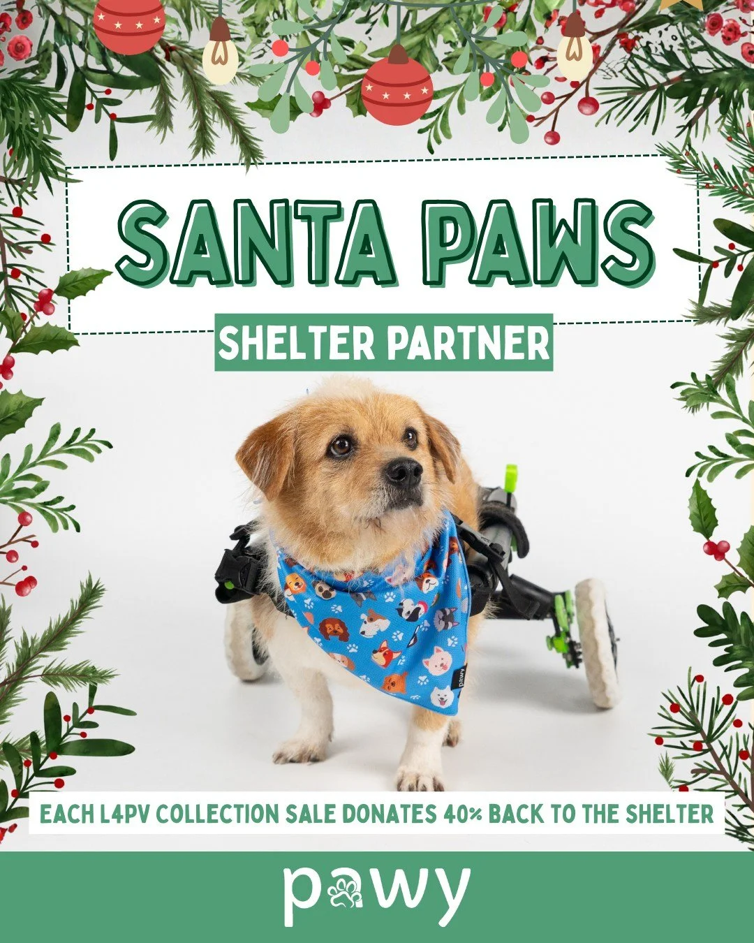 Day 15 of Santa Paws is here!
 Our friends at @pawy.vn are helping spread the Christmas cheer! 🎄💙

✨Shop the Laws For Paws Vietnam Collection on their website - 40% of every purchase is donated to support our shelter dogs.

A meaningful gift for yo