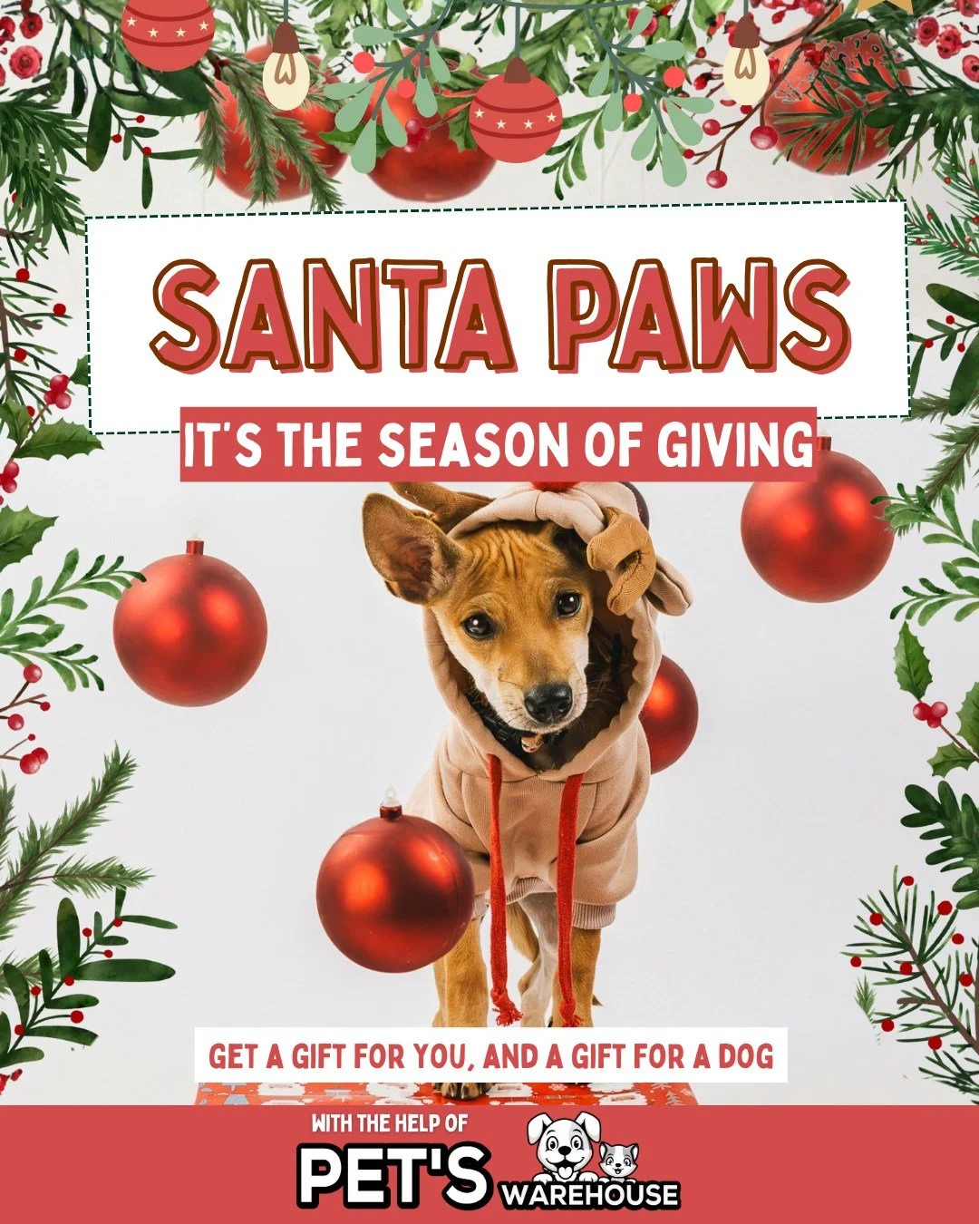 Santa Paws &ndash; Day 17
Shopping our merch this Christmas? 🎄

It&rsquo;s the last day for Santa Paws to load his sleigh &ndash; donate now and make a shelter pup&rsquo;s Christmas magical! 🎅💚

If you add an extra 50,000 VND to your order, @petsw