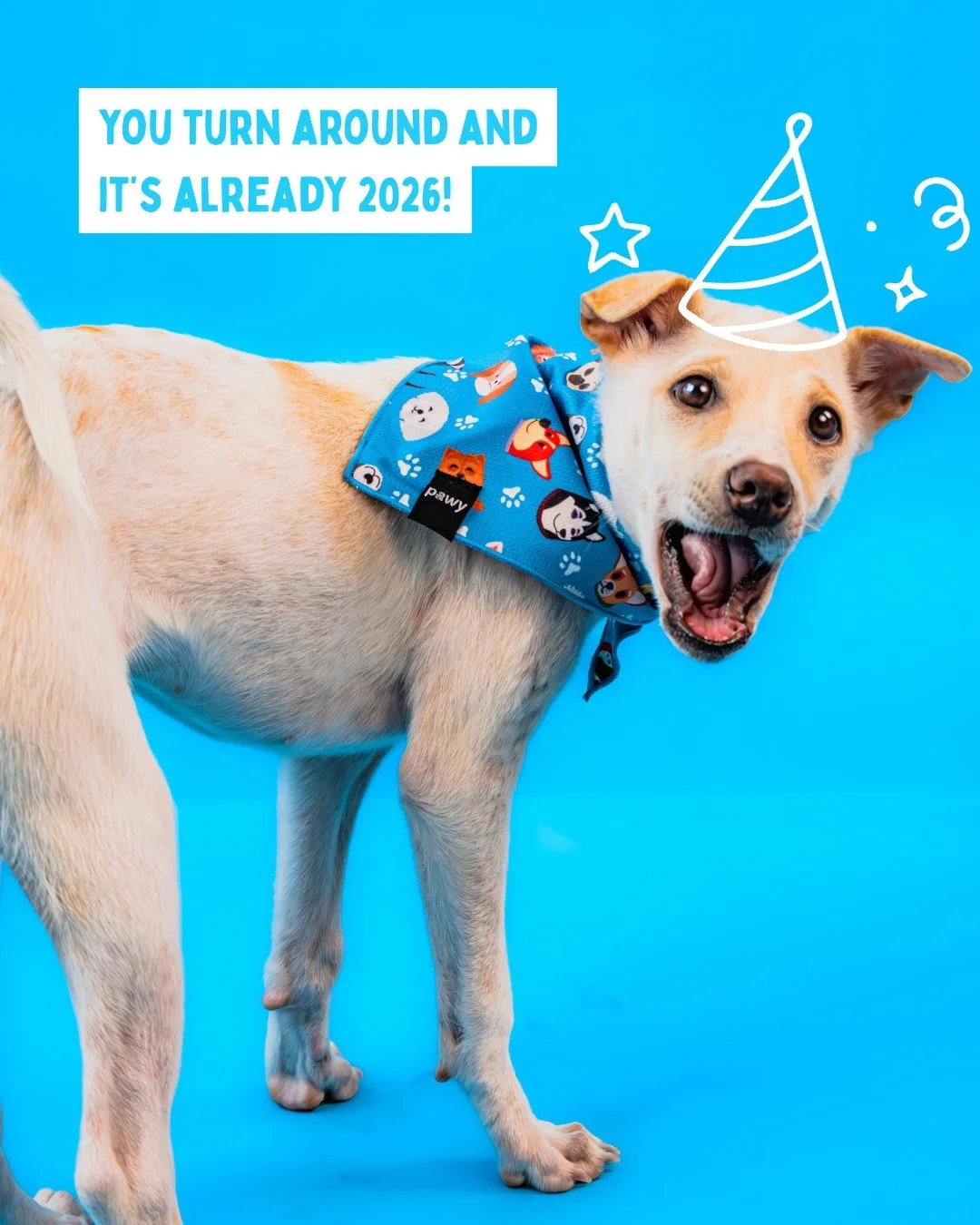 New year, new paws, new hope! 🐾✨ 
Here's to a year full of wagging tails and happy homes! 

#HappyNewYear #AdoptDontShop #LawsForPawsVietnam #RescueDogs #VietnamRescue #ShelterLife #newyear2026
