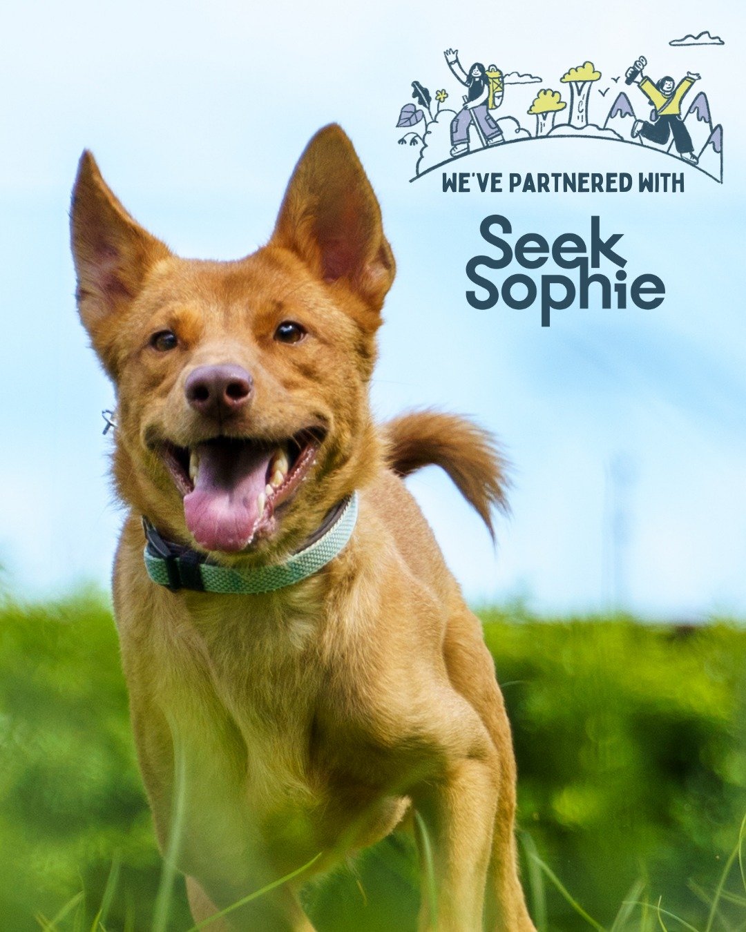 We&rsquo;re excited to launch our new shelter experience in partnership with @seeksophie ✨

This collaboration opens our shelter doors to a wider community - travellers, locals, and anyone looking for a meaningful way to spend their time in Ho Chi Mi