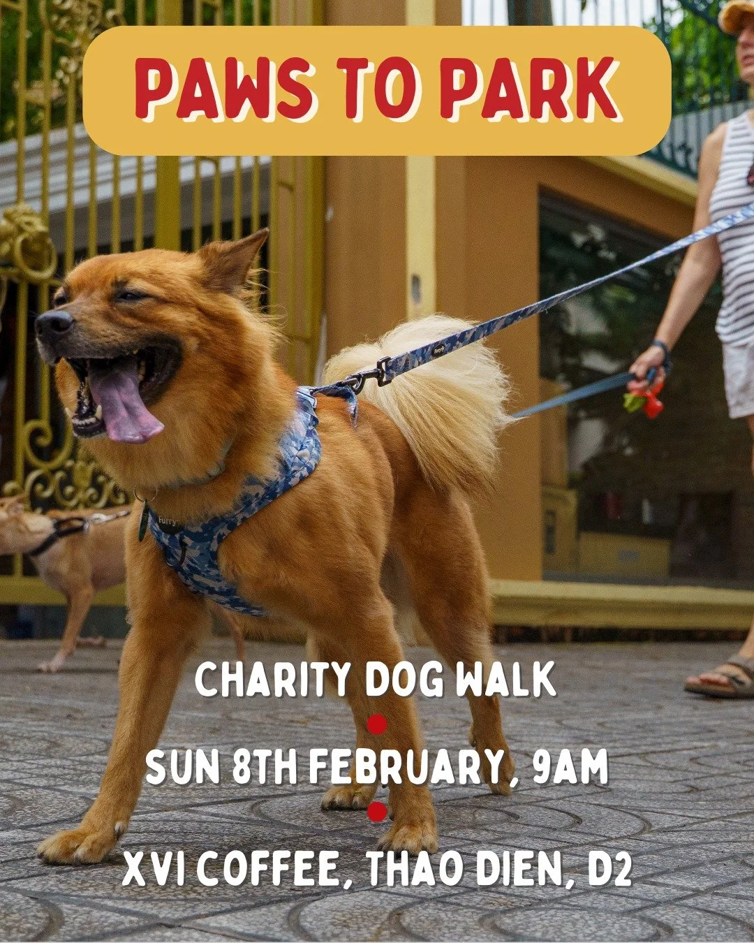 Join us for our first Paws to Park Charity Dog Walk of 2026 🎉

Meet fellow dog lovers for a fun, shady walk through Thảo Điền, with Mark @dogwalkersinthaodien 🦮 🐾

📅 Date: Sunday, 8th February 2026
⏰ Time: Meet-up at 9 AM
📍 Location: Start &amp;