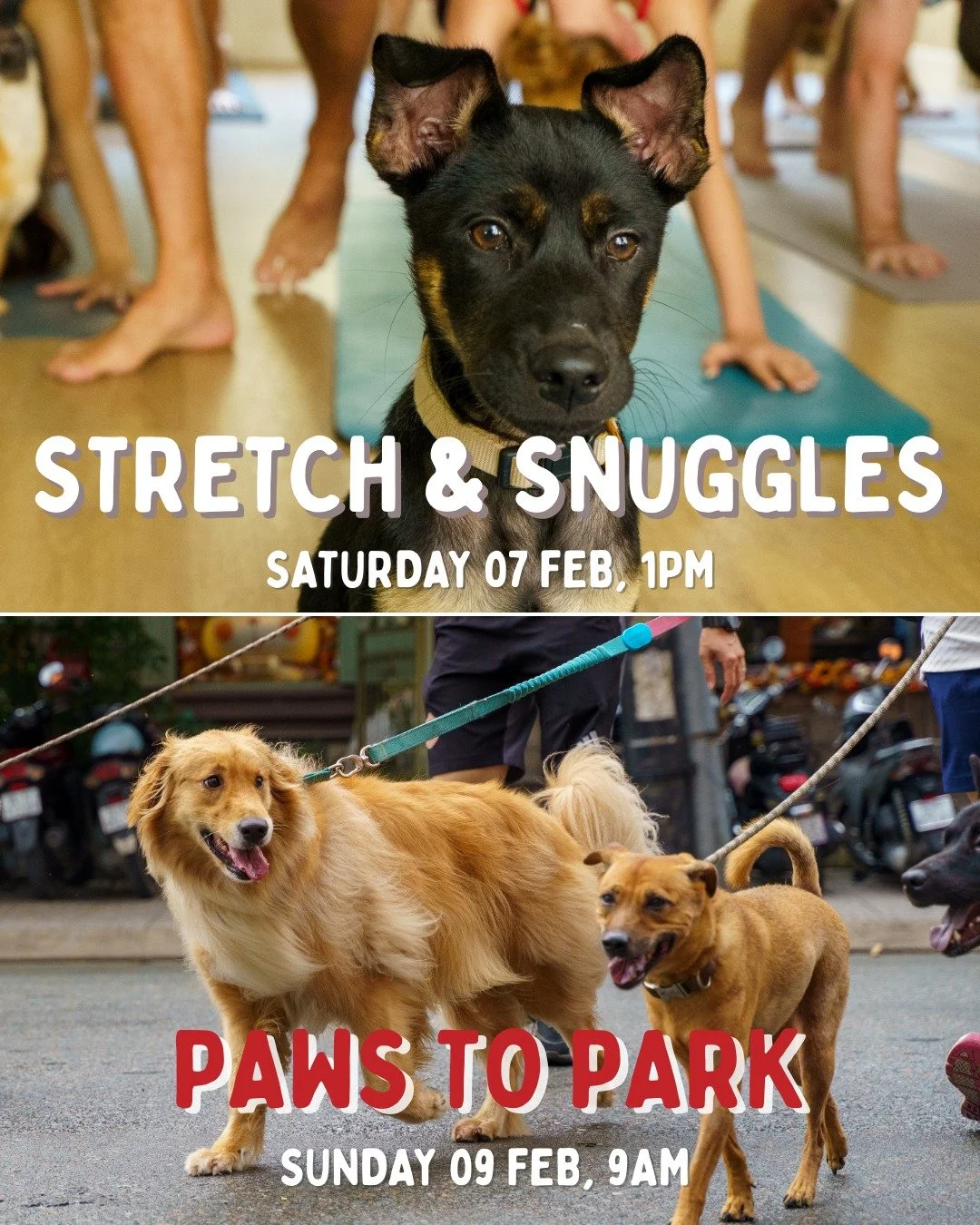 What&rsquo;s on this weekend! 🐾💛

It&rsquo;s an active weekend at Laws for Paws, and we&rsquo;re excited to spend it with our community. Join us for movement, puppy time, and a relaxed walk with fellow dog lovers - all in support of our shelter dog