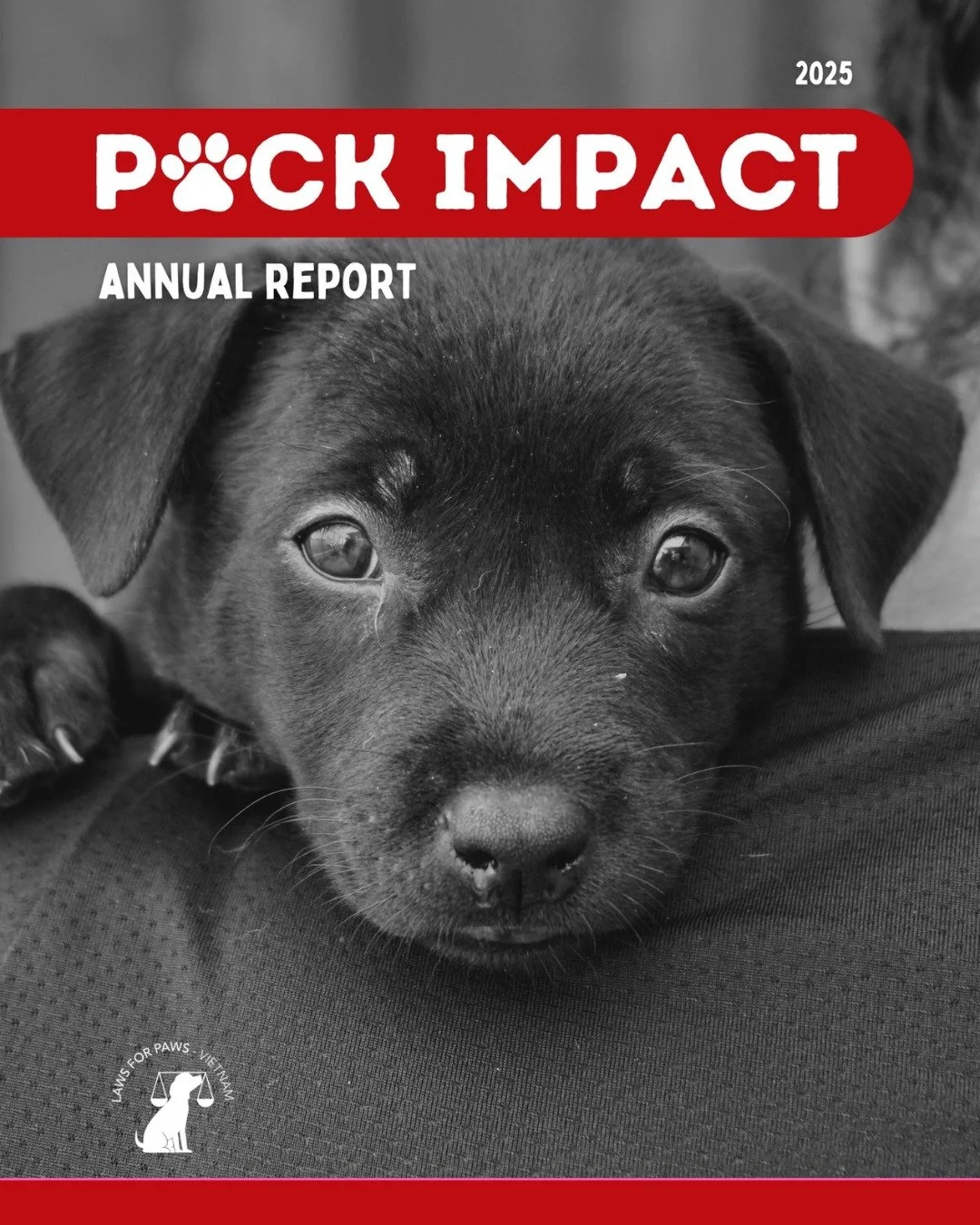 We&rsquo;re proud to share a milestone moment for Laws for Paws Vietnam - our very first Annual Report:
Pack Impact 🐾

Behind every statistic is a life changed.
Behind every milestone is a supporter, volunteer, adopter, or donor who made it possible
