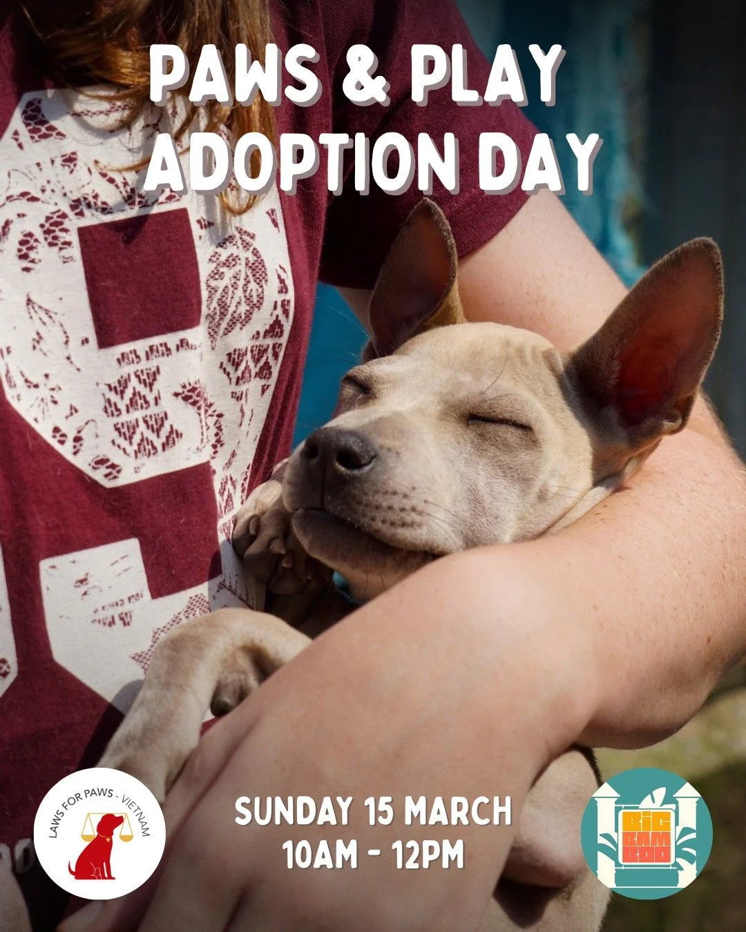 Paws &amp; Play Adoption Day! 🐾

Looking for your future furry best friend? Or just want to spend a morning soaking up good vibes and playing with adorable pups?

We&rsquo;ve got you covered!

Join us for our Paws &amp; Play Adoption Day at @bigbamb