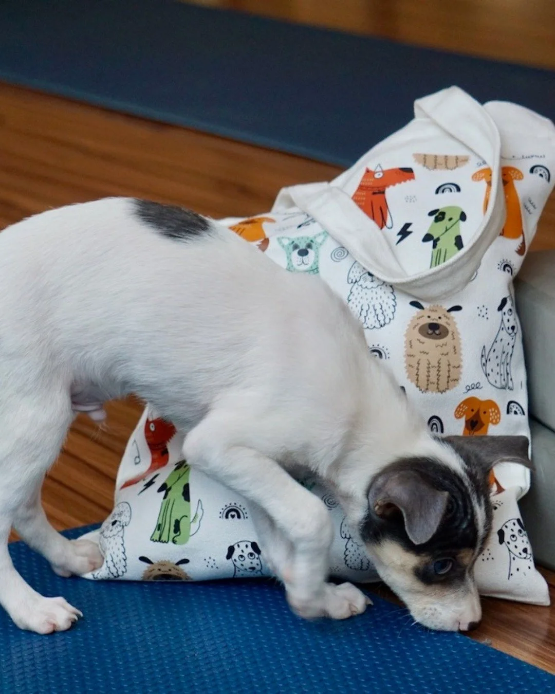 When you&rsquo;re on the go - getting active or moving mindfully - we&rsquo;ve got your essentials covered.

Grab, go, repeat - our tote and water bottle holder keep up with you.

Field-tested in chaotic environments, so you know these pieces will la