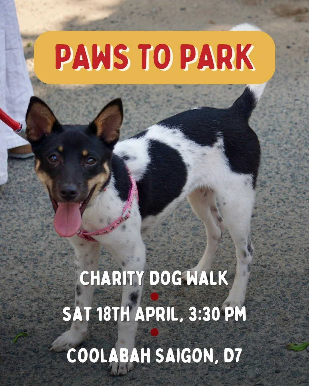 Join us for a walk in the park at our Paws to Park Charity Dog Walk!

Meet fellow dog lovers for a fun, shady walk with owner and head trainer Mark O'Connor from @dogwalkersinthaodien 🦮 🐾

📅 Date: Saturday 18th April 2026
⏰ Time: Meet-up at 3.30PM