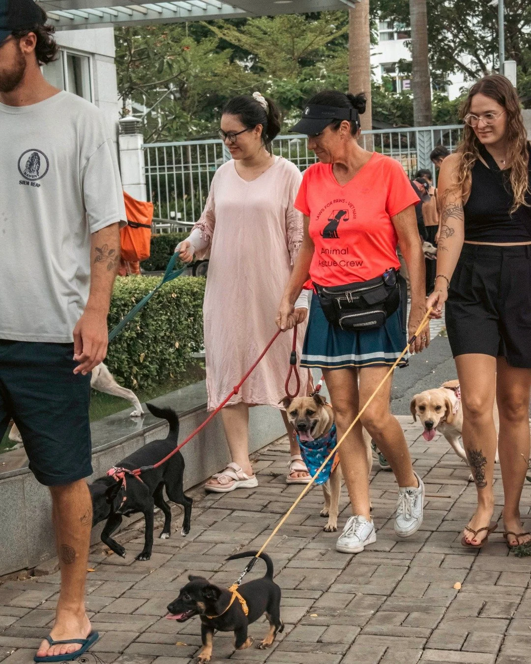 Join us this Saturday for our Paws to Park charity walk, guided by head trainer Mark O'Connor from @dogwalkersinthaodien!

Follow us along the quiet streets and parkways of D7, starting and finishing at @coolabah.saigon. Enjoy a relaxed, social walk 