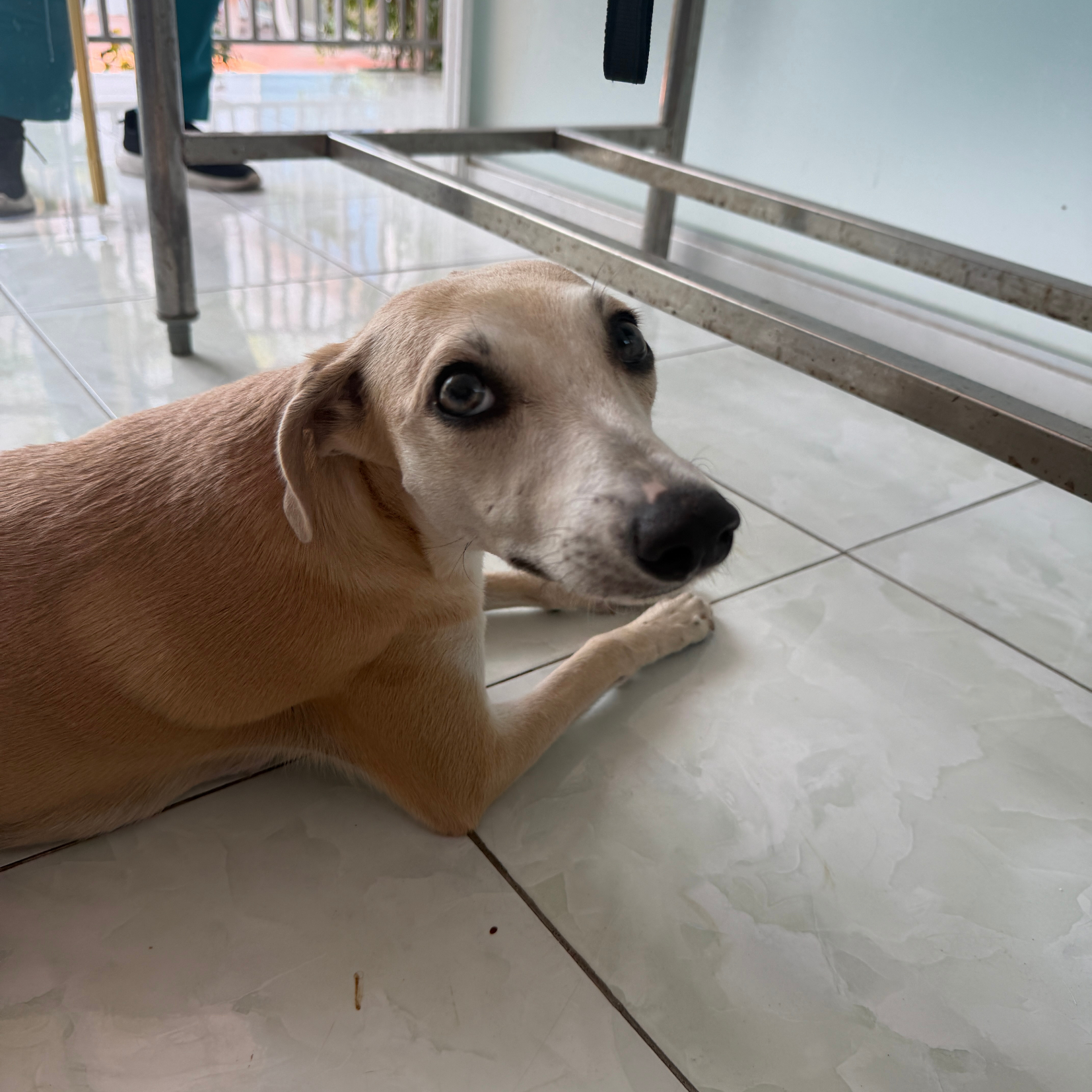 Email (3).png