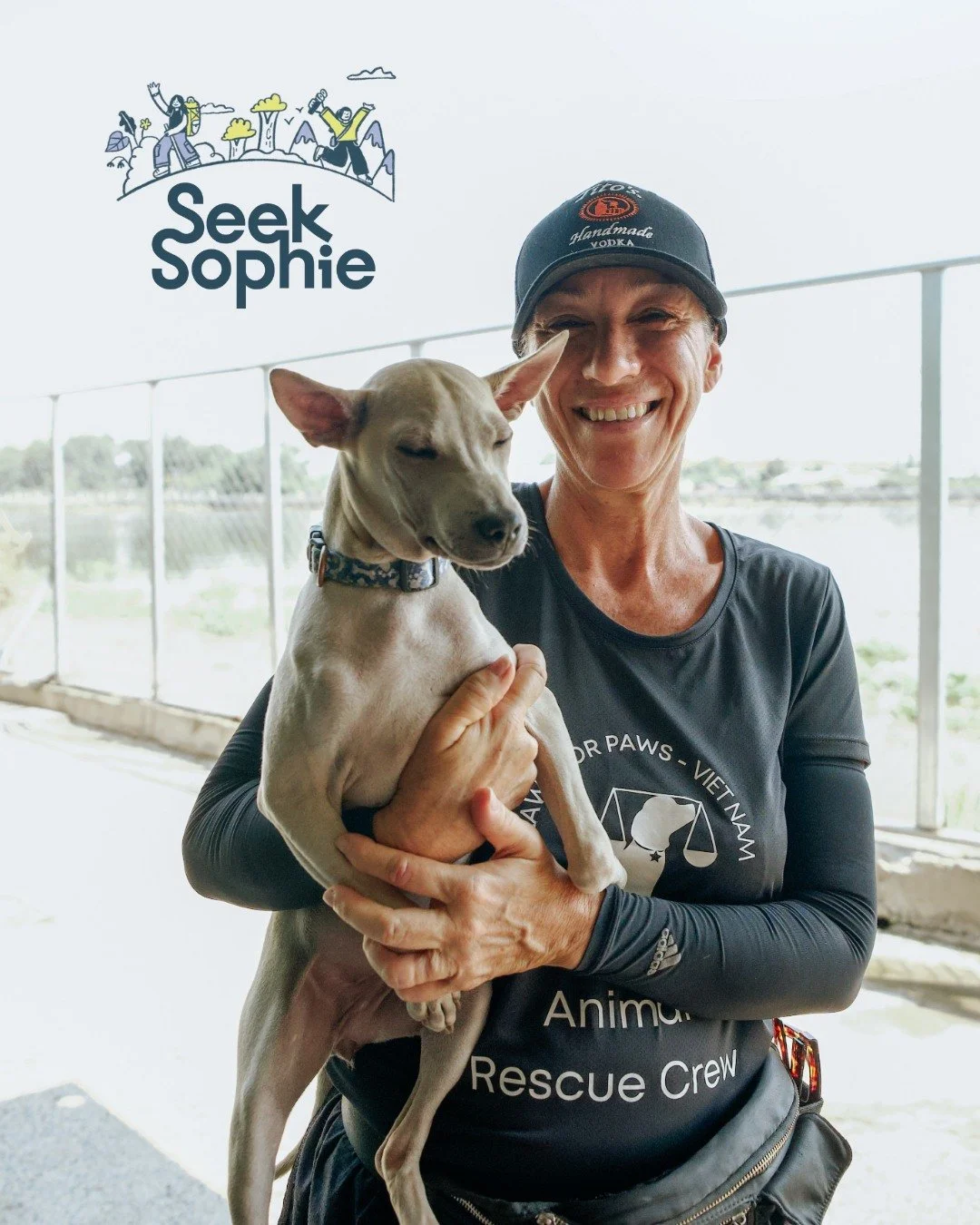 Looking for a different way to experience Ho Chi Minh City?
Visit our cage-free shelter and spend time with our rescue dogs.

Join a guided session where you&rsquo;ll meet the dogs, hear their stories, and get involved in their daily routine - from w