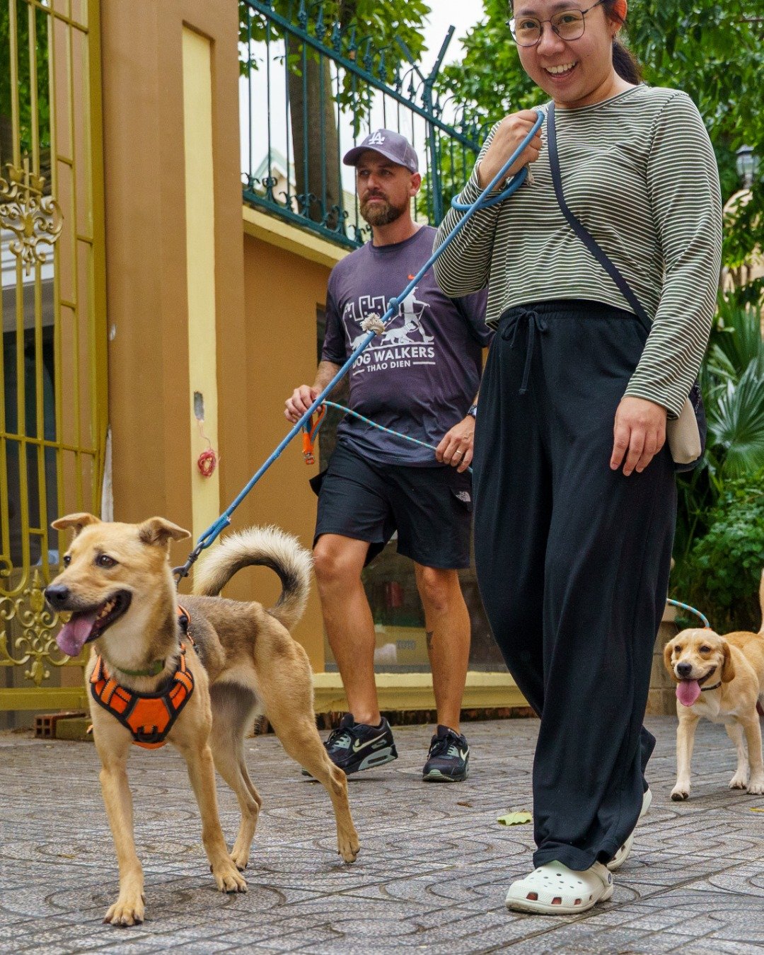 Looking for a feel-good way to start your weekend? Join us next weekend in Thảo Điền for Paws to Park, a community charity walk in support of Laws for Paws Vietnam. 🐾☀️

Led by head trainer Mark O'Connor from @dogwalkersinthaodien, this relaxed morn