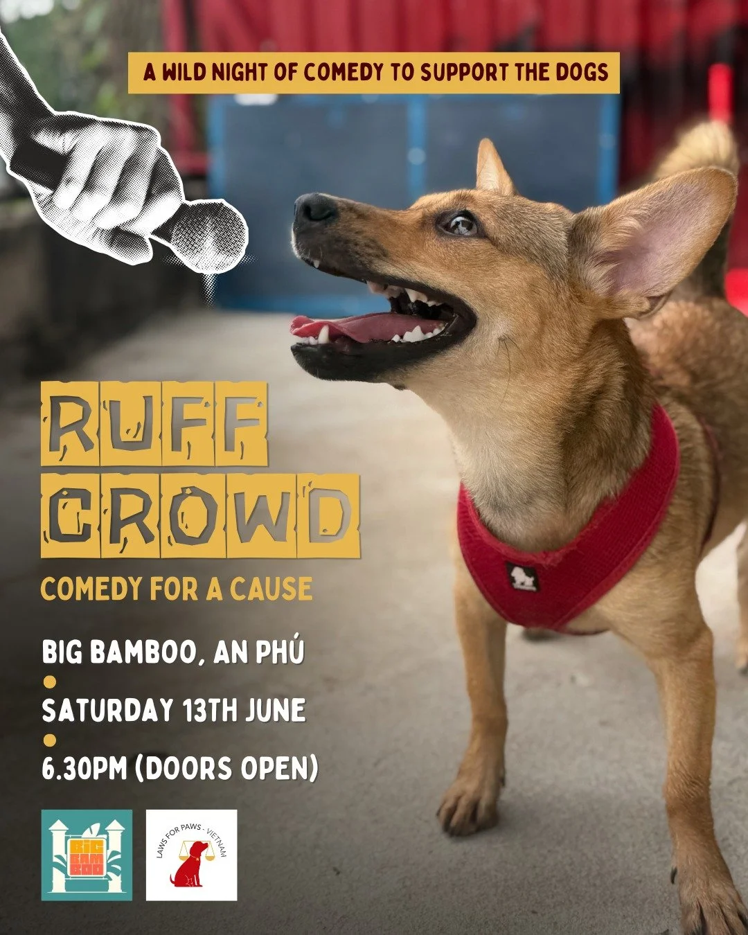Comedy for a Cause! 🐾
And we don't say that lightly.

All proceeds from Ruff Crowd will support our mission to rescue, rehabilitate, and re-home at-risk dogs in our community.

It's been a busy couple of months at the shelter, with new arrivals, she