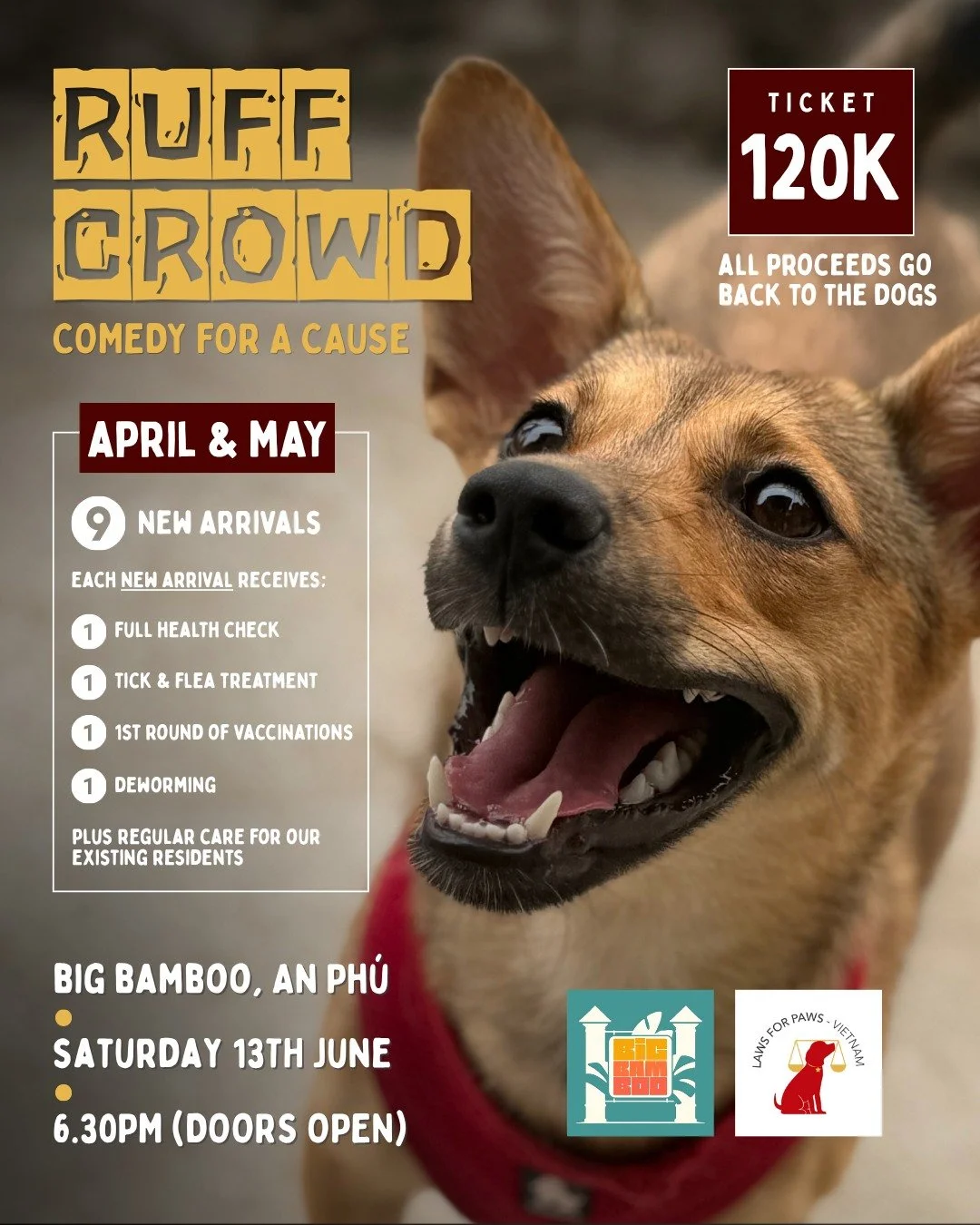 A WILD night of comedy, ALL in support of the dogs! 🐾

It's been a big couple of months at the shelter, with 9 new little arrivals!
That's
- 9 Full health checks
- 9 Tick and flea treatments
- 9 First round of vaccinations
- 9 De-worming treatments
