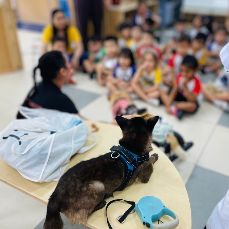 Paw Pals Academy education program