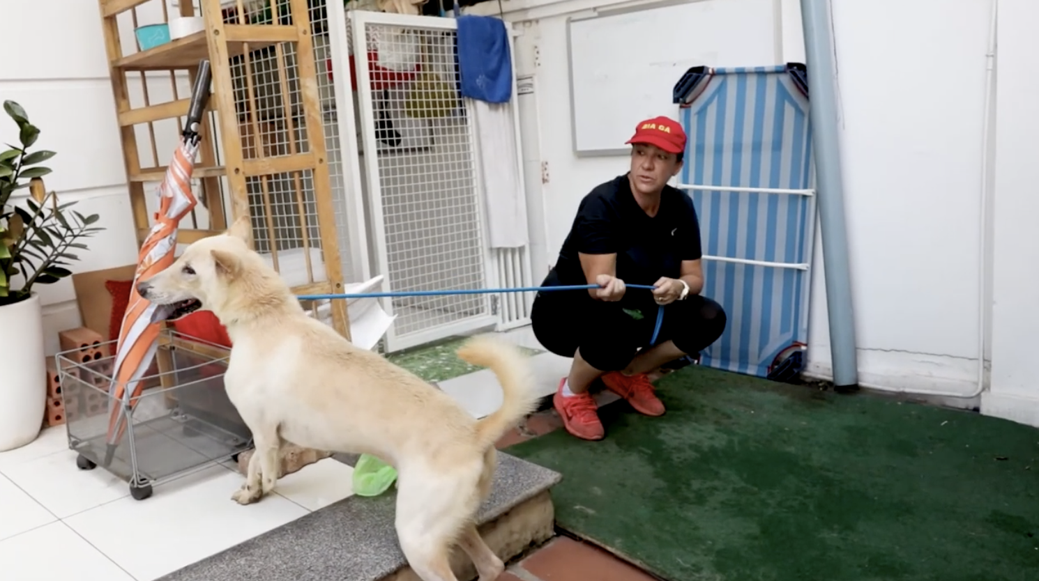 Documentary highlights plight of abused animals