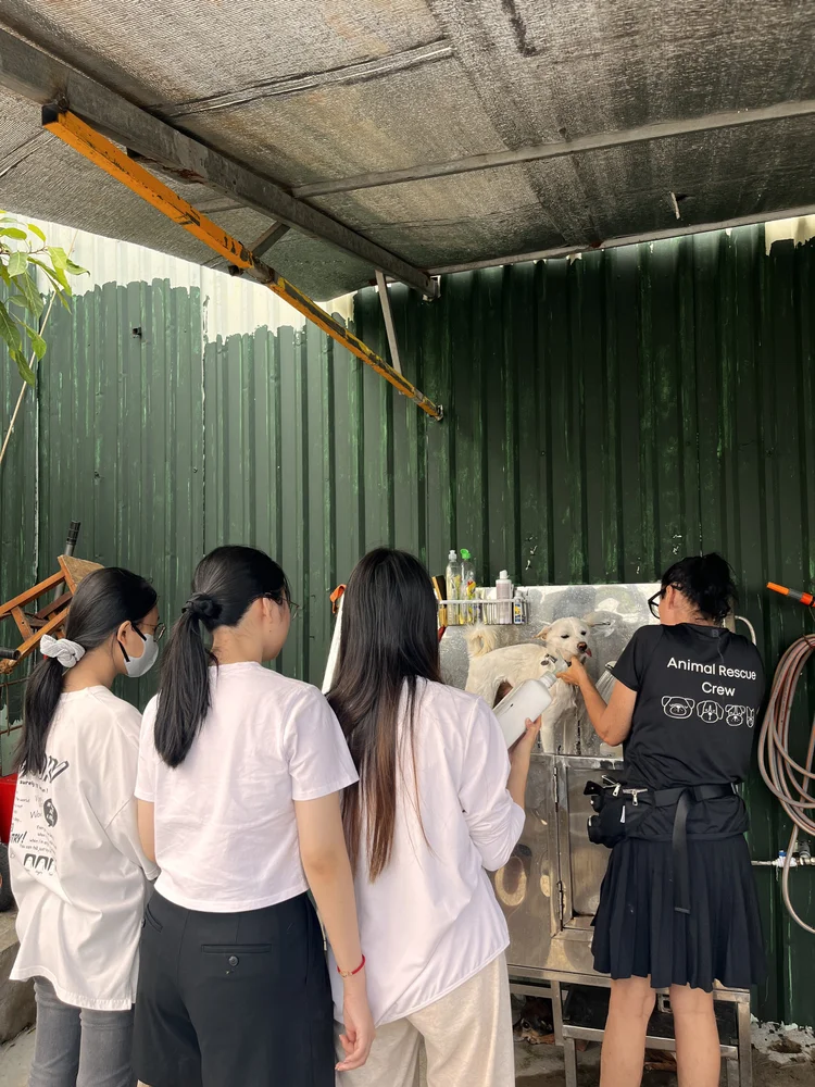 Weekend Warriors volunteer program