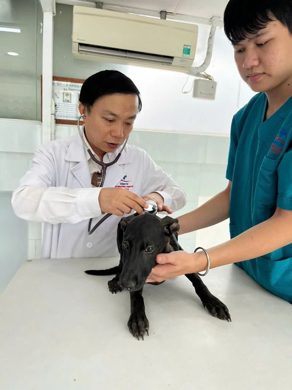 WhatsApp Image 2025-06-19 at 15.13.46 (1).jpeg