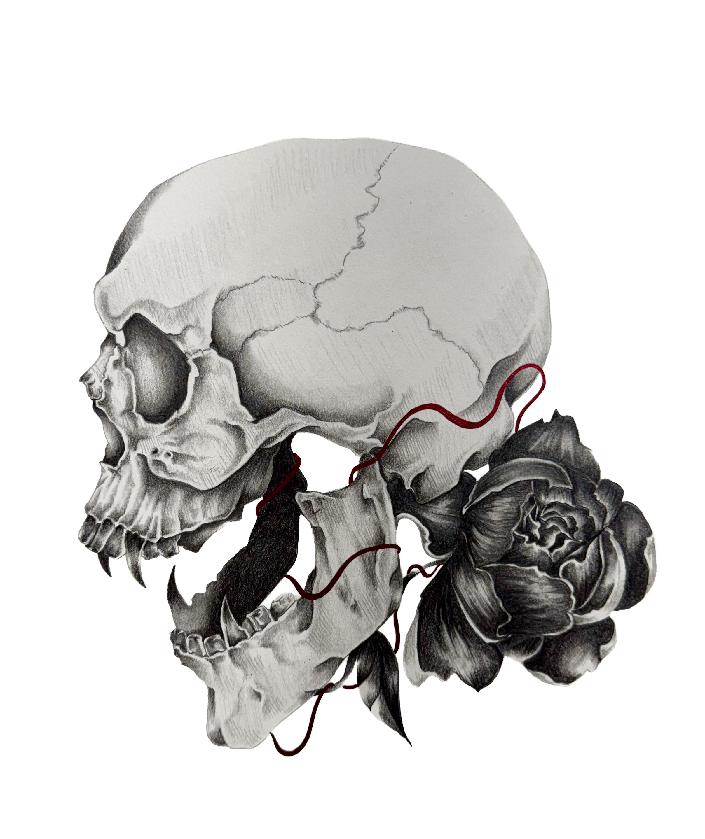 skull fixed.png