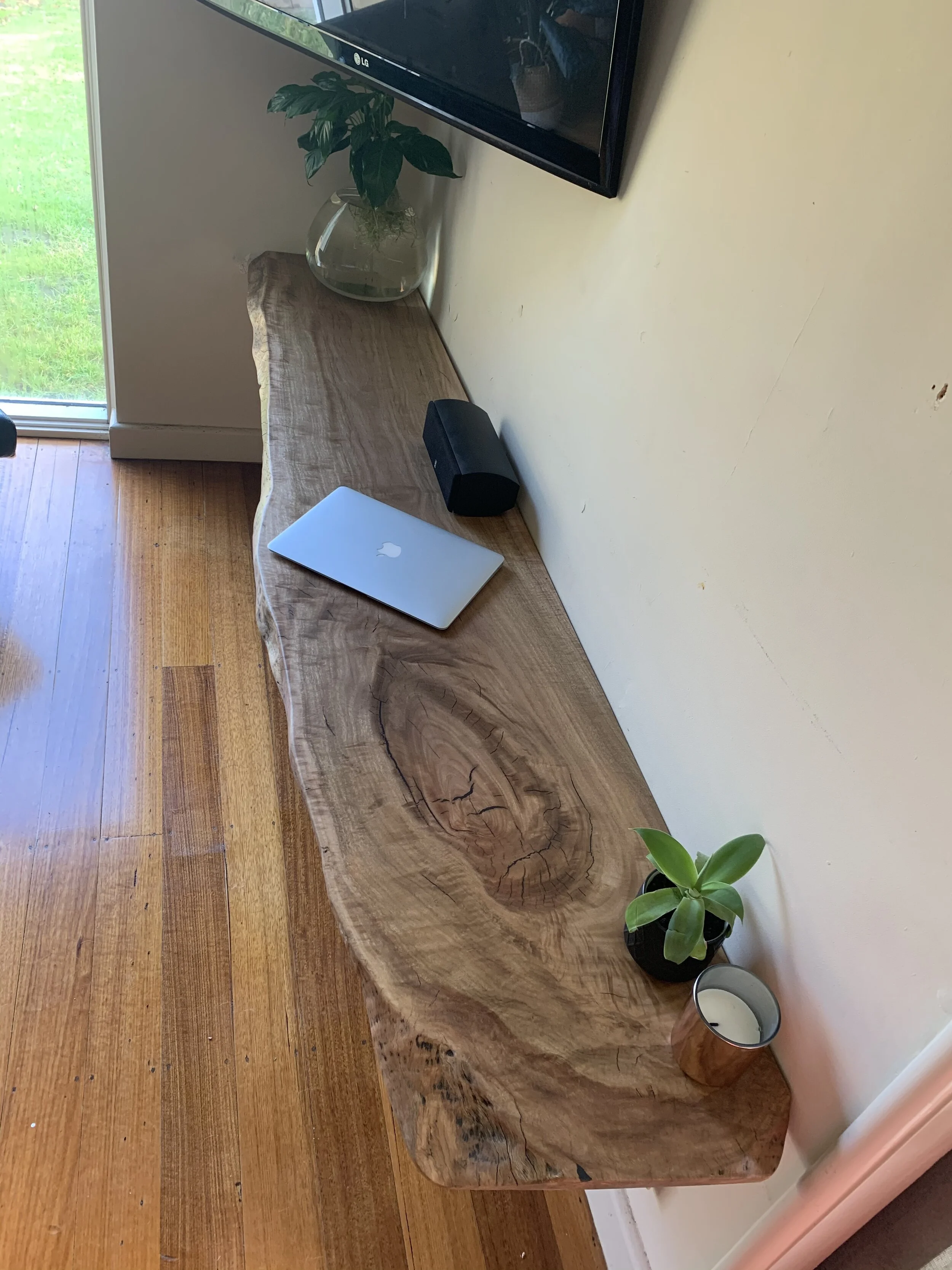 Lemon Scented Gum FEB18 — The Wood Project