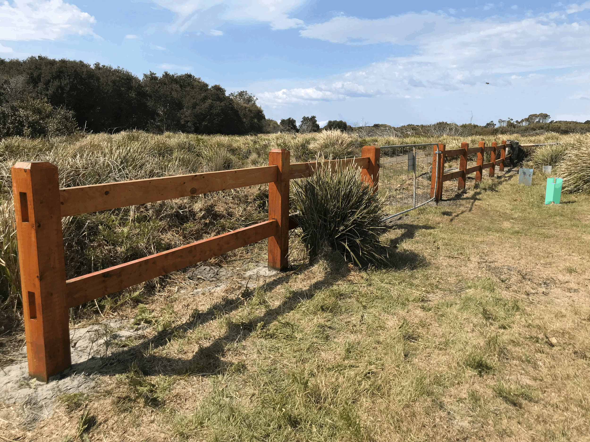 How to Prevent Fungal Rot and Termites in your Timber Posts & Treat In-Ground