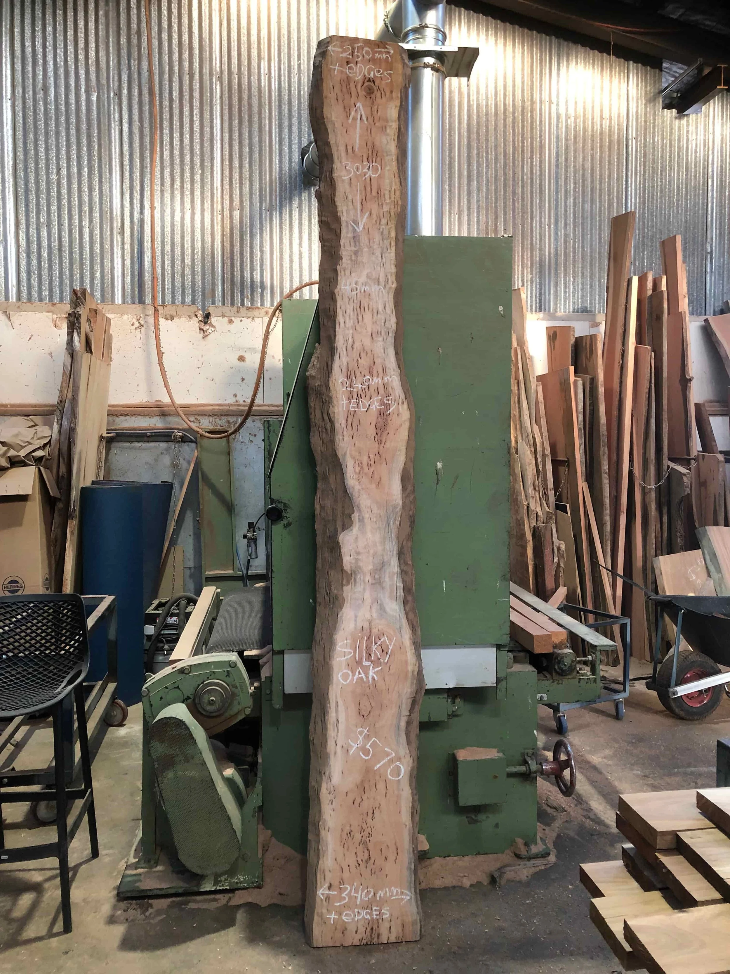 Silky Oak 26SEP01