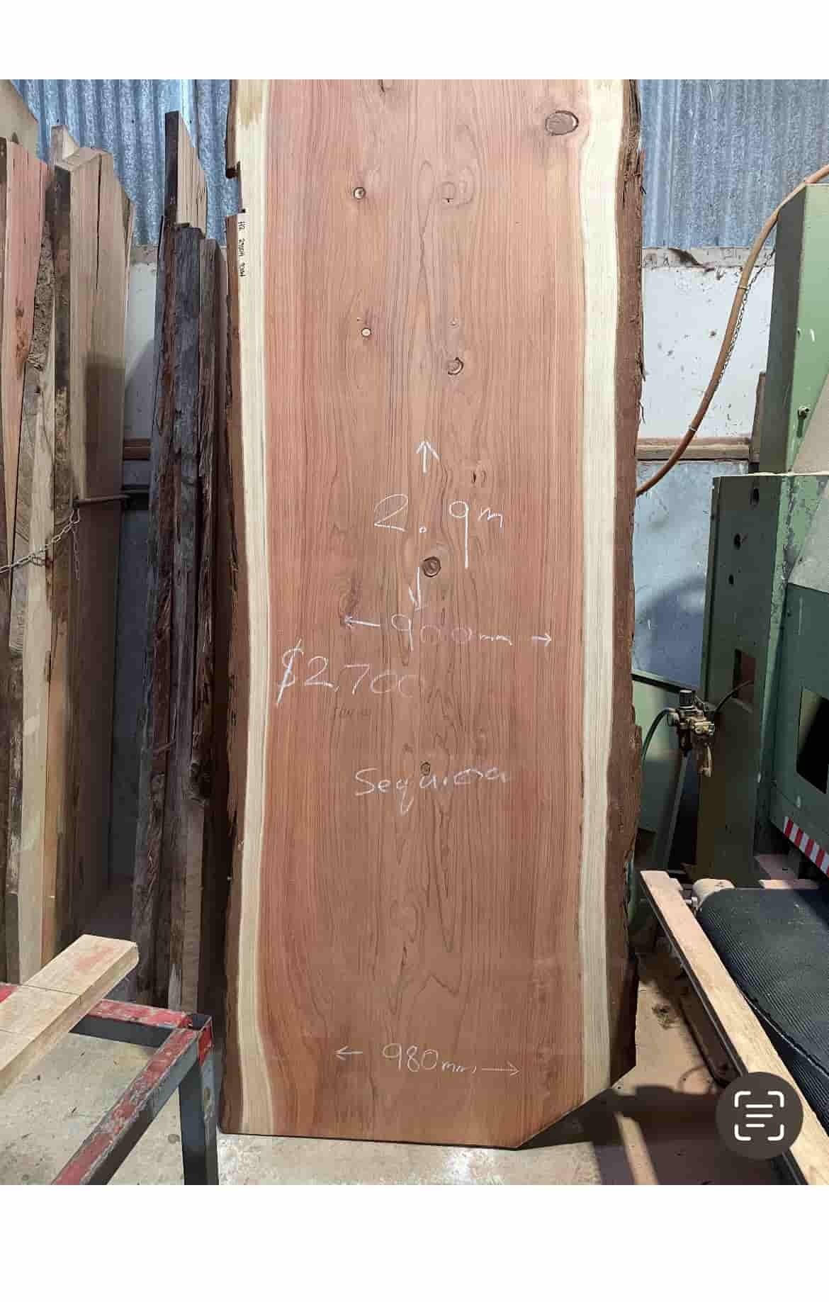 redwood_JUN05_the_wood_project.jpg