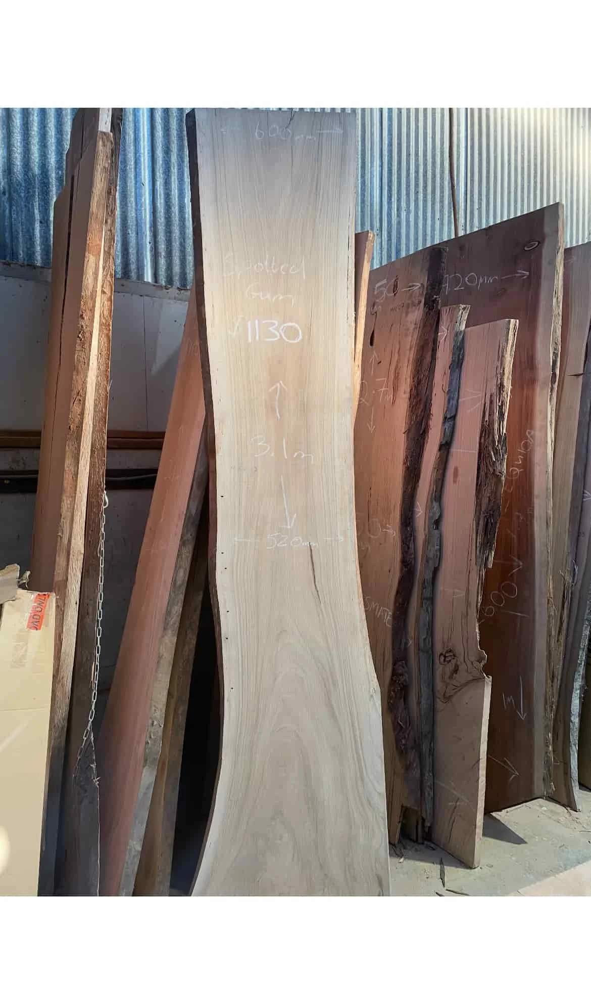 spotted_gum_.jpg