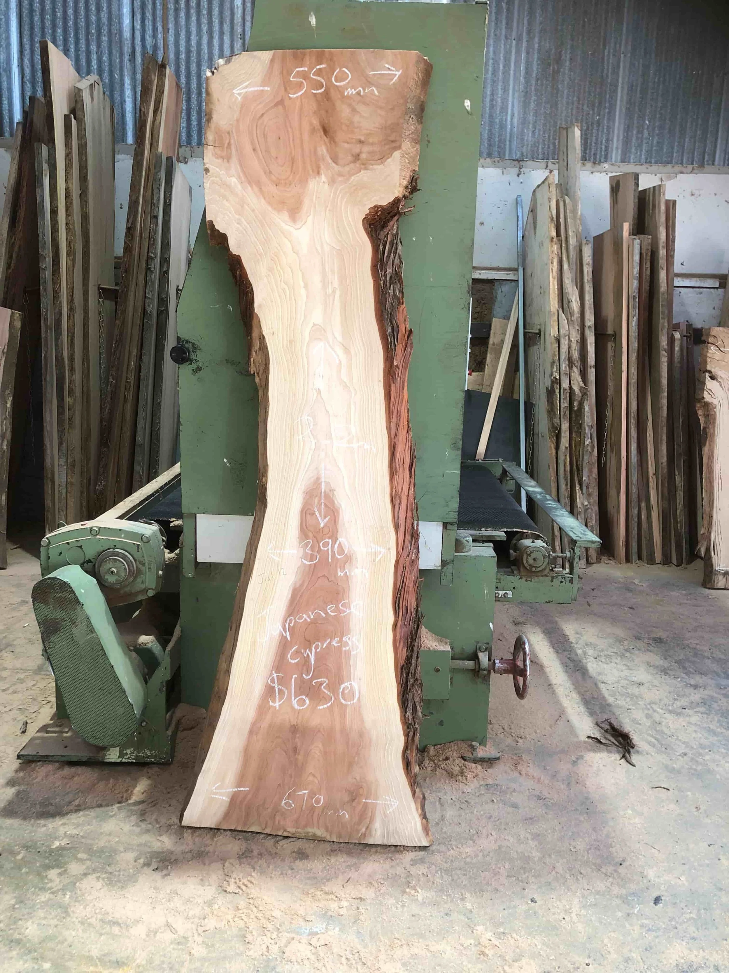 japanese_cypress_JUL12_the_wood_project.jpg