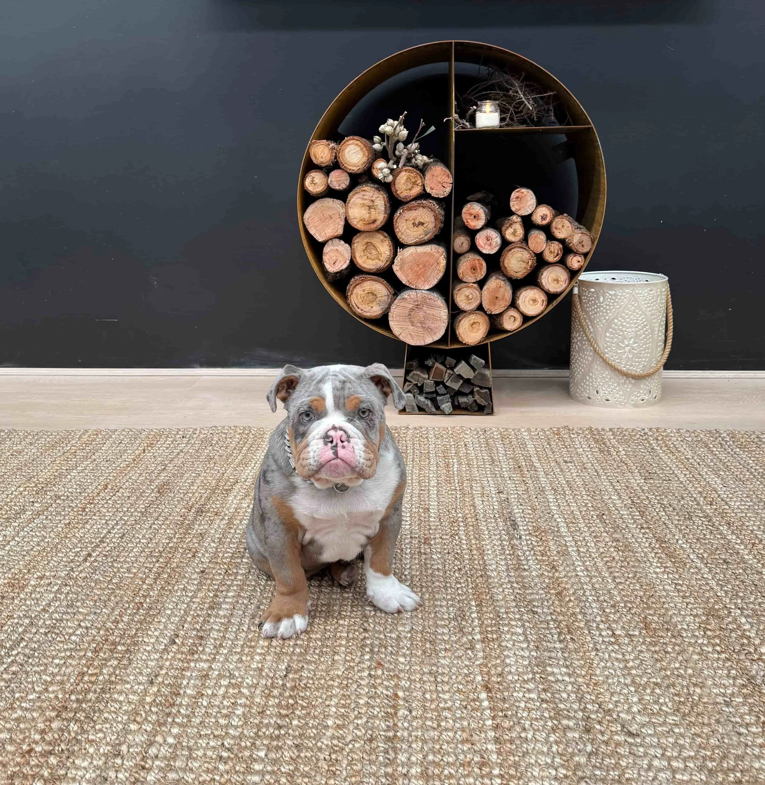 round coreten firewood stacker1.jpg