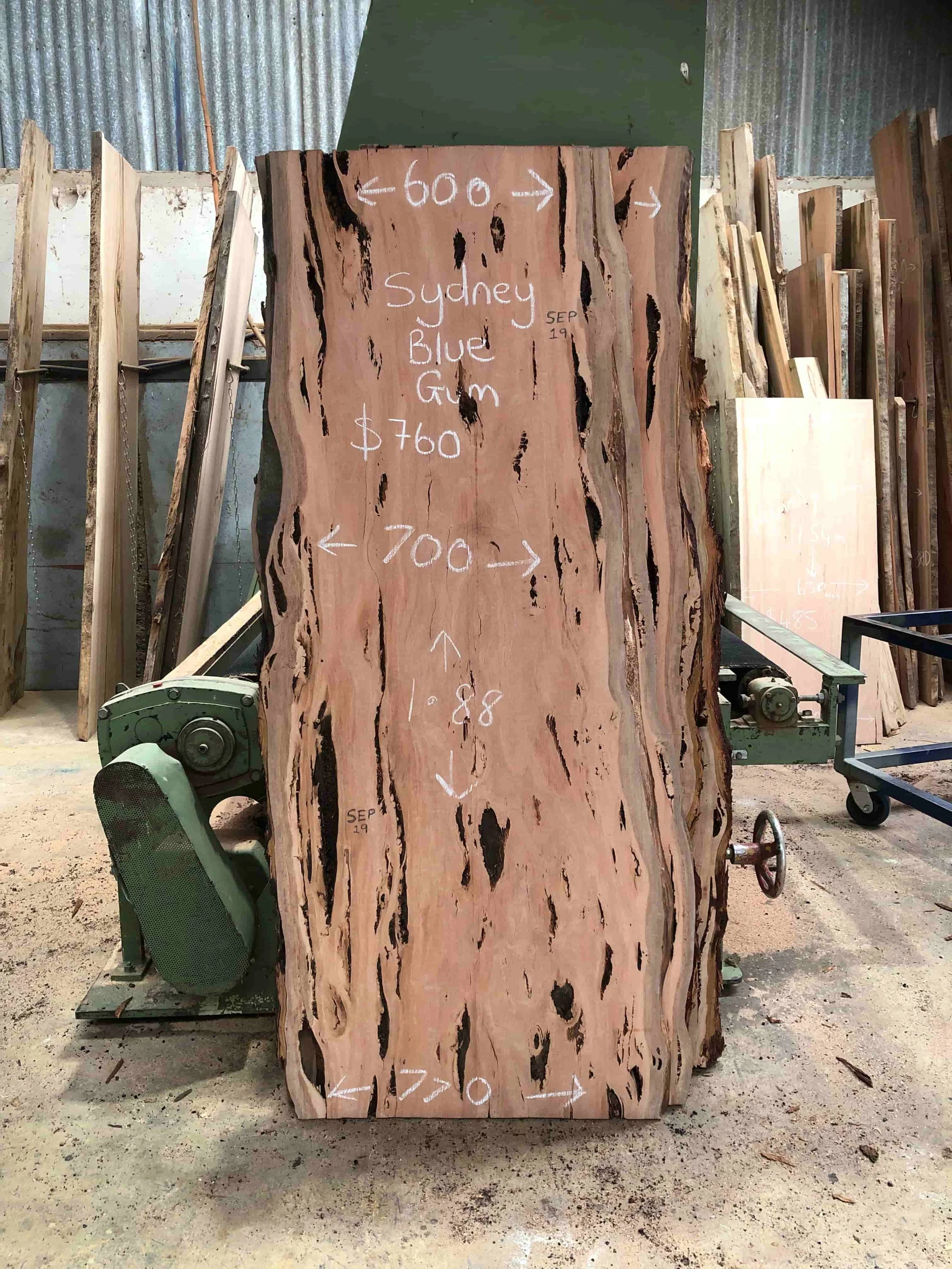 Sydney Blue Gum SEP19 & SEP21