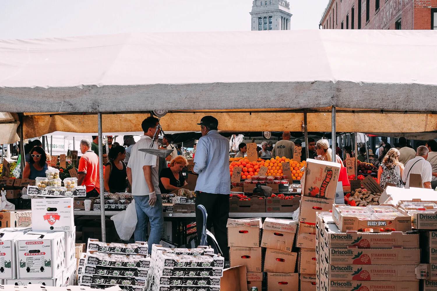 Grocery haul at the Haymarket farmers market!