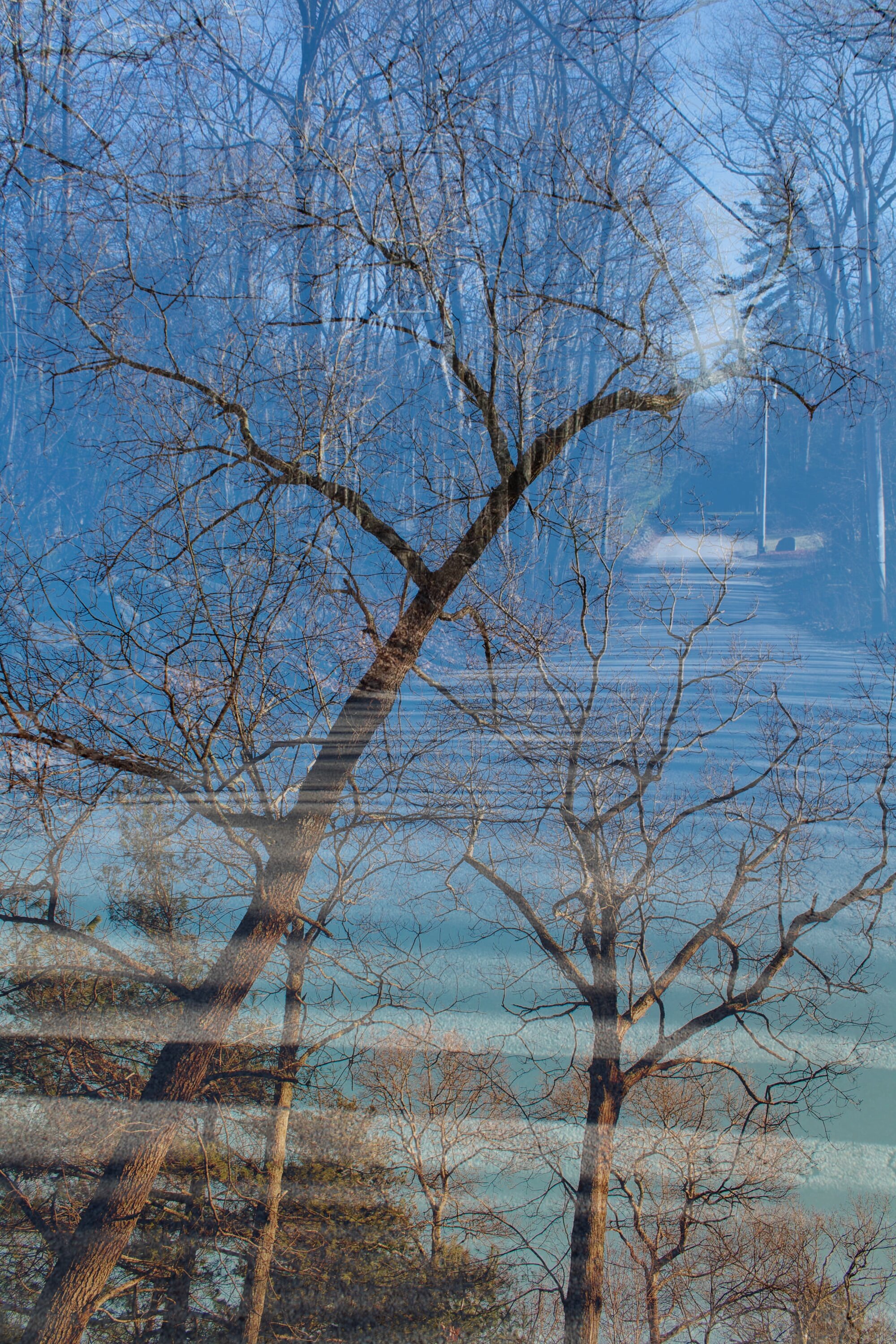John Franklin, 2020, digital photograph