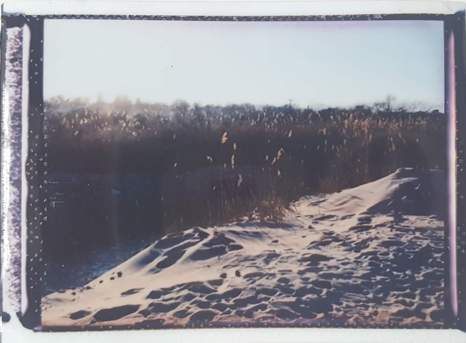 Amelia_Fuji6.jpg