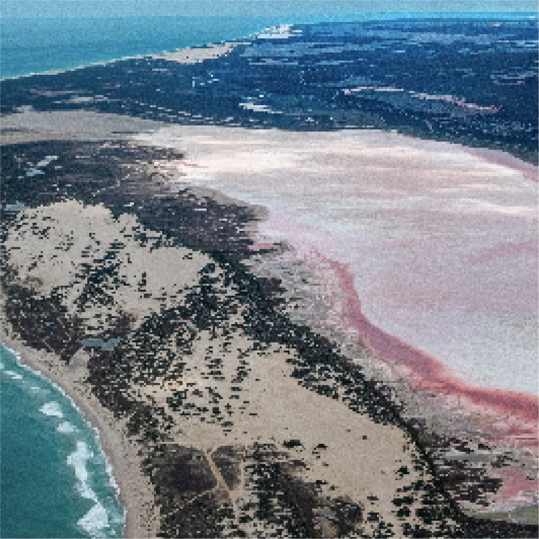 CCK 36 copy 3-100.jpg